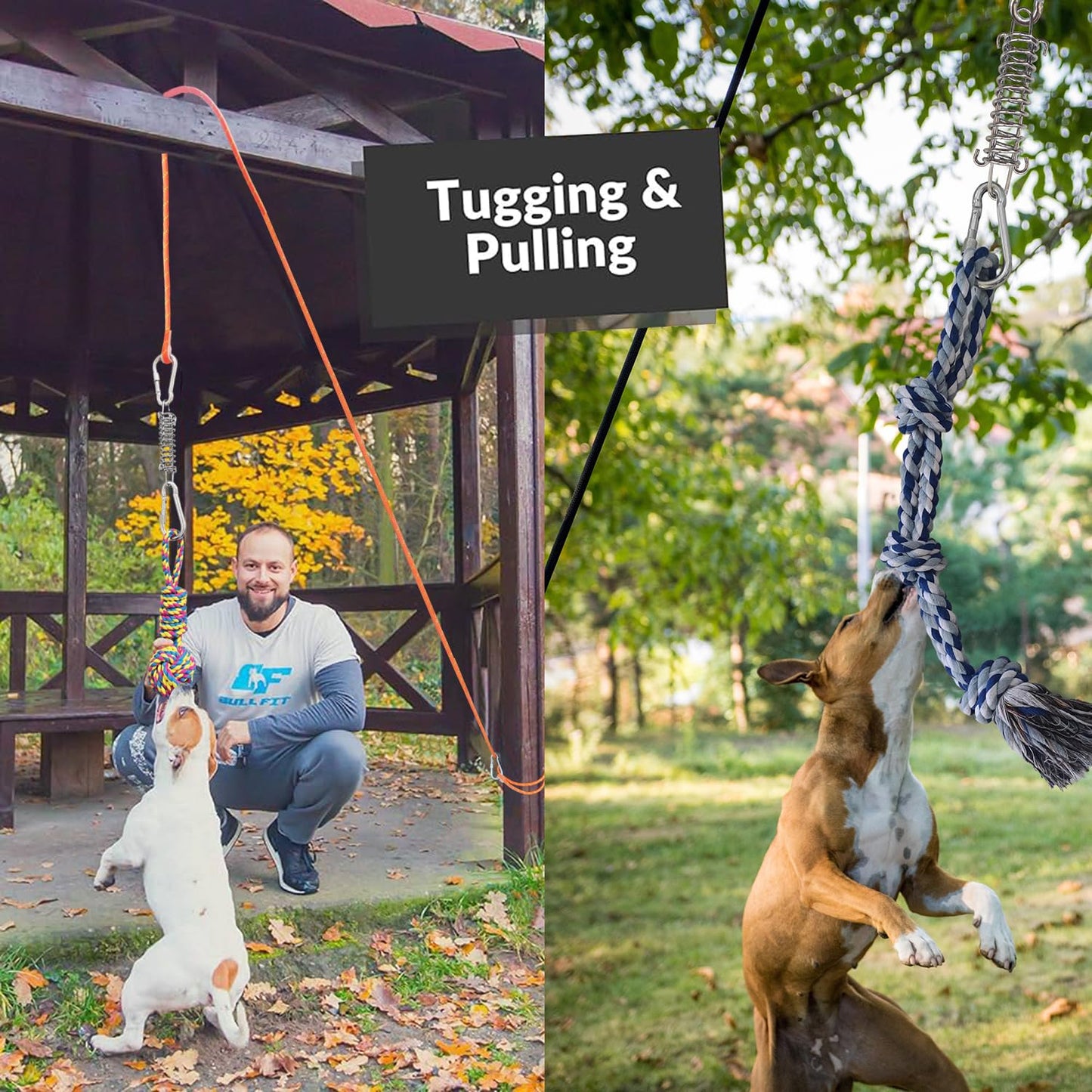 TUAHOO Outdoor Bungee Tug Toy, Dog Toy Hanging from Tree Tugger, Interactive Toy & Spring Pole Tether Tug of War Toys for Pitbull Small to Large Dogs to Exercise Solo Play, 2 Pack Dog Rope Toys