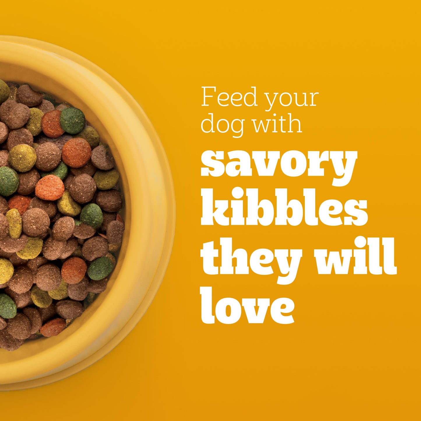 Pedigree Complete Nutrition Big Dog Dry Dog Food, Roasted Chicken, Rice and Vegetable Flavor, 16 lb. Bag