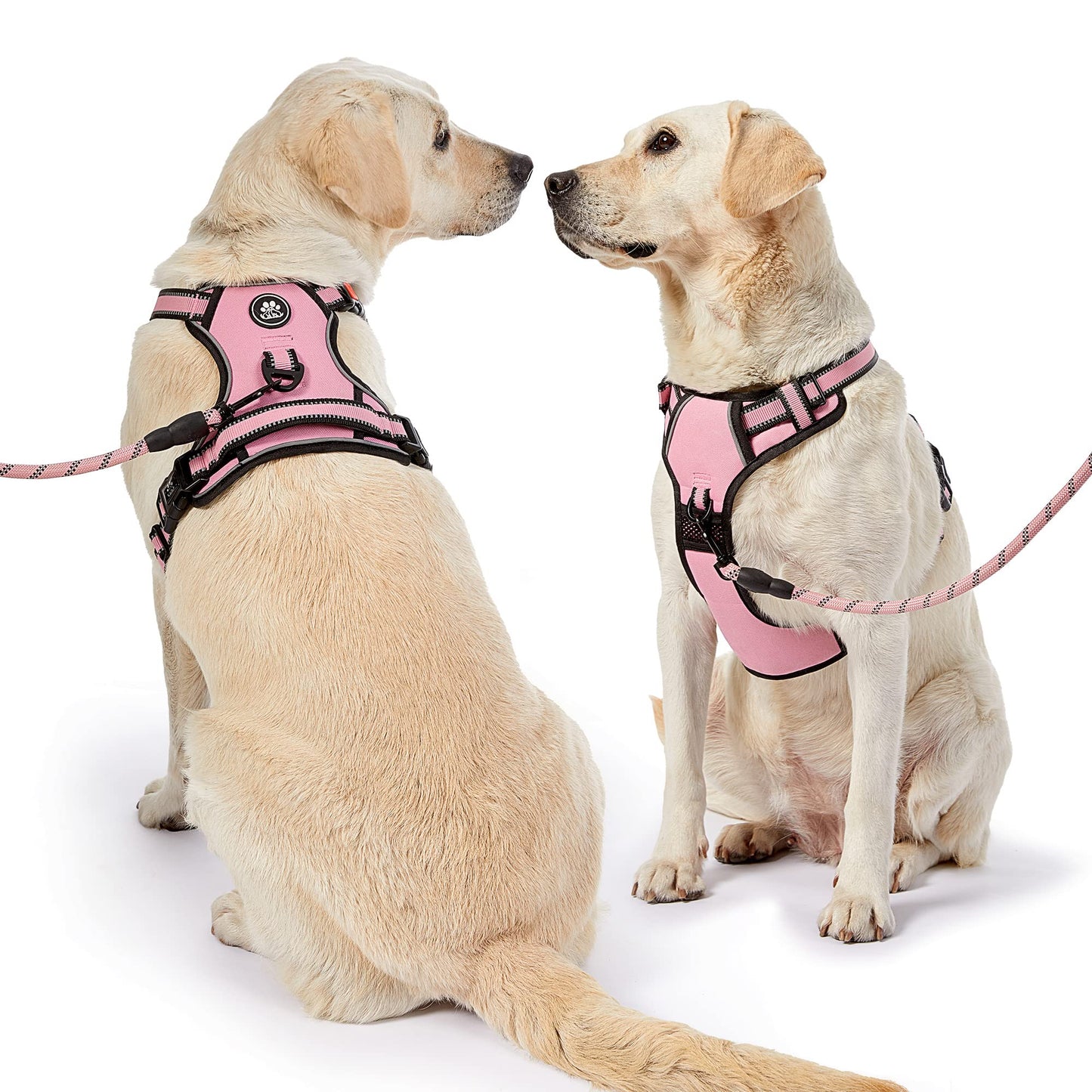 NESTROAD No Pull Dog Harness,Adjustable Oxford Medium Dog Harness with Leash,Reflective No-Choke Pet Vest Harness with Easy Control Soft Handle for Small Medium Large Dogs(M,Pink)