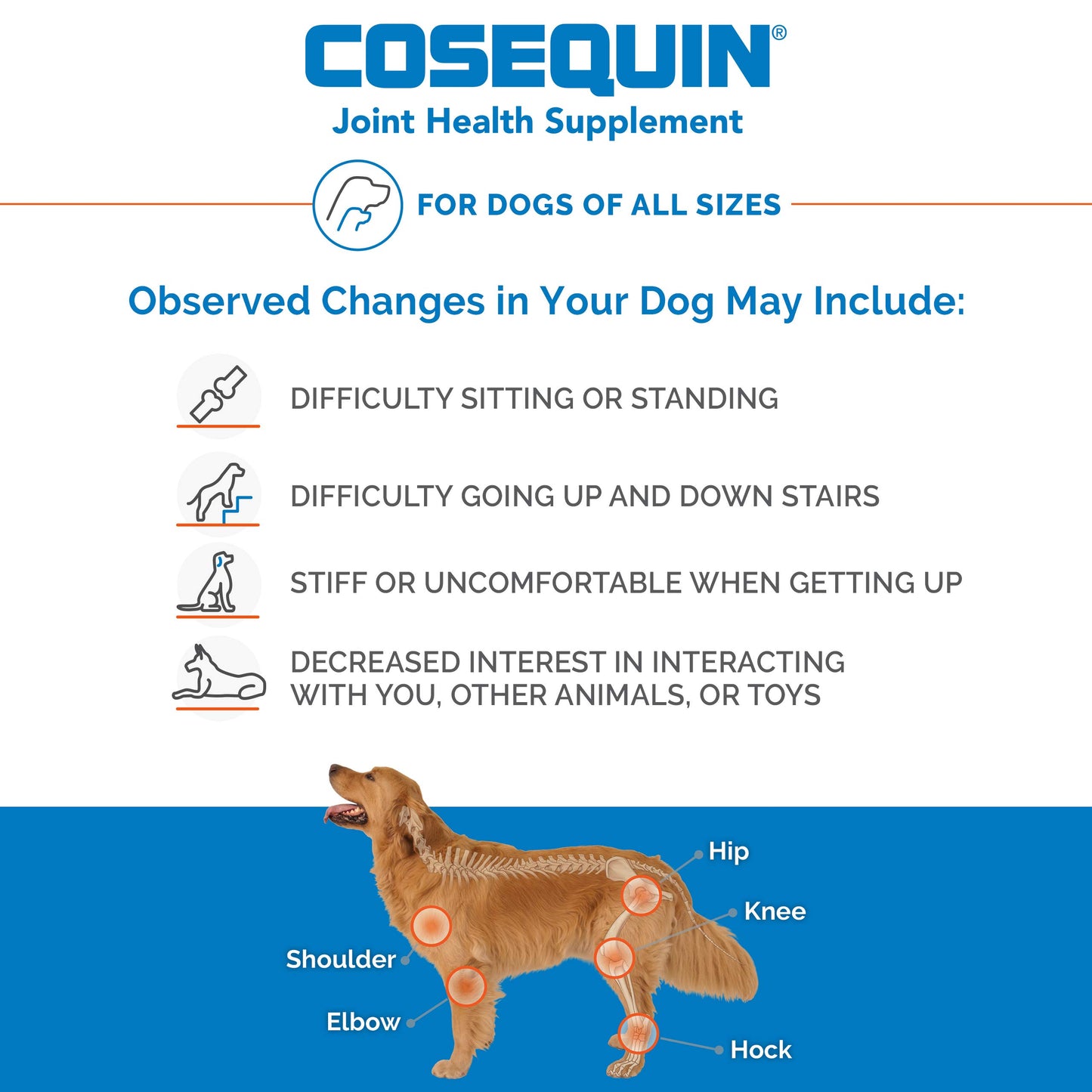 Nutramax Cosequin for Dogs Joint Health Supplement, Contains Glucosamine for Dogs, Plus Chondroitin, Supports Healthy Joints, Chewable Tablets, 250 Count