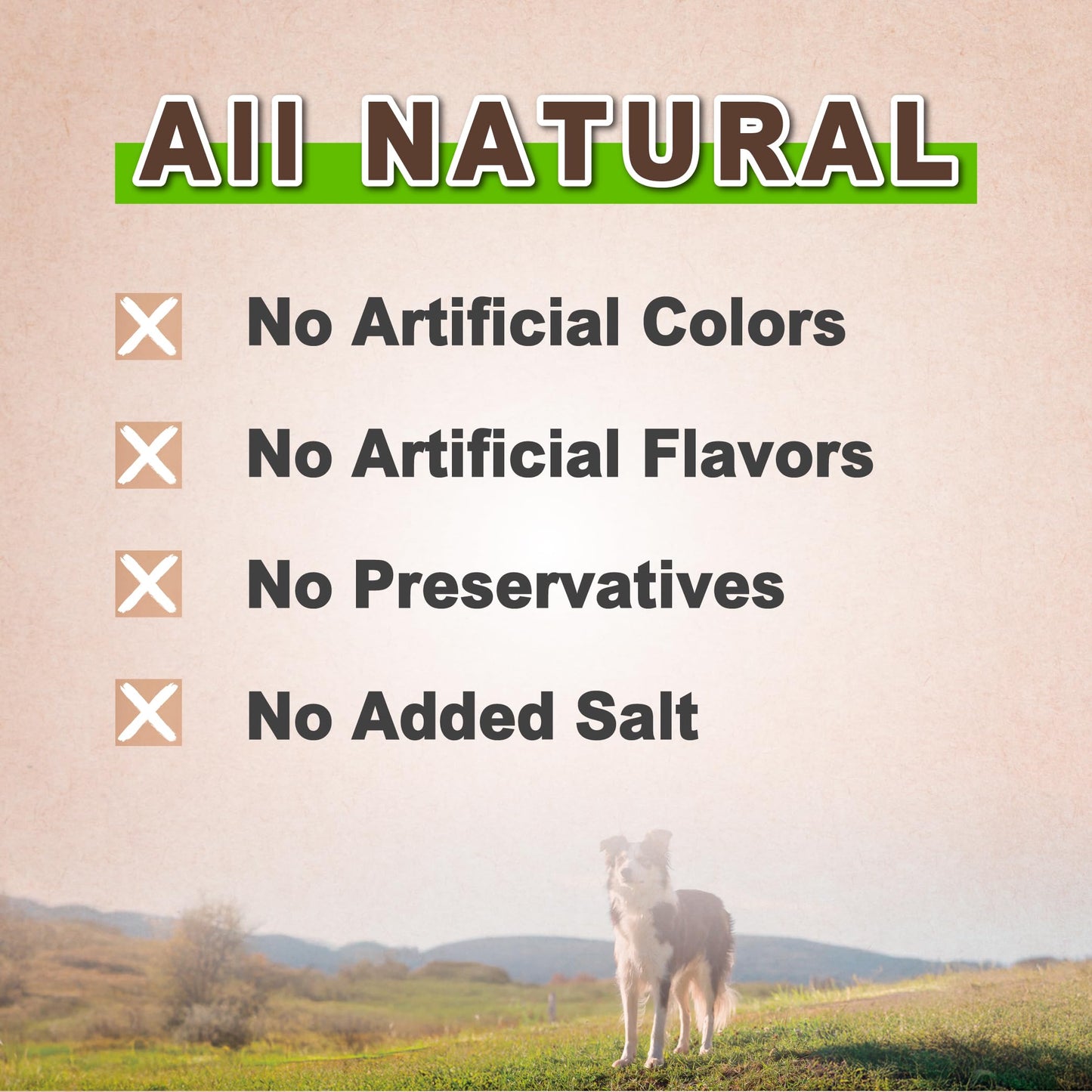 AFreschi Natural Chicken Roll 12 oz, All Natural, Grain-Free, High-Protein, Healthy & Easily Digestible, Soft Texture