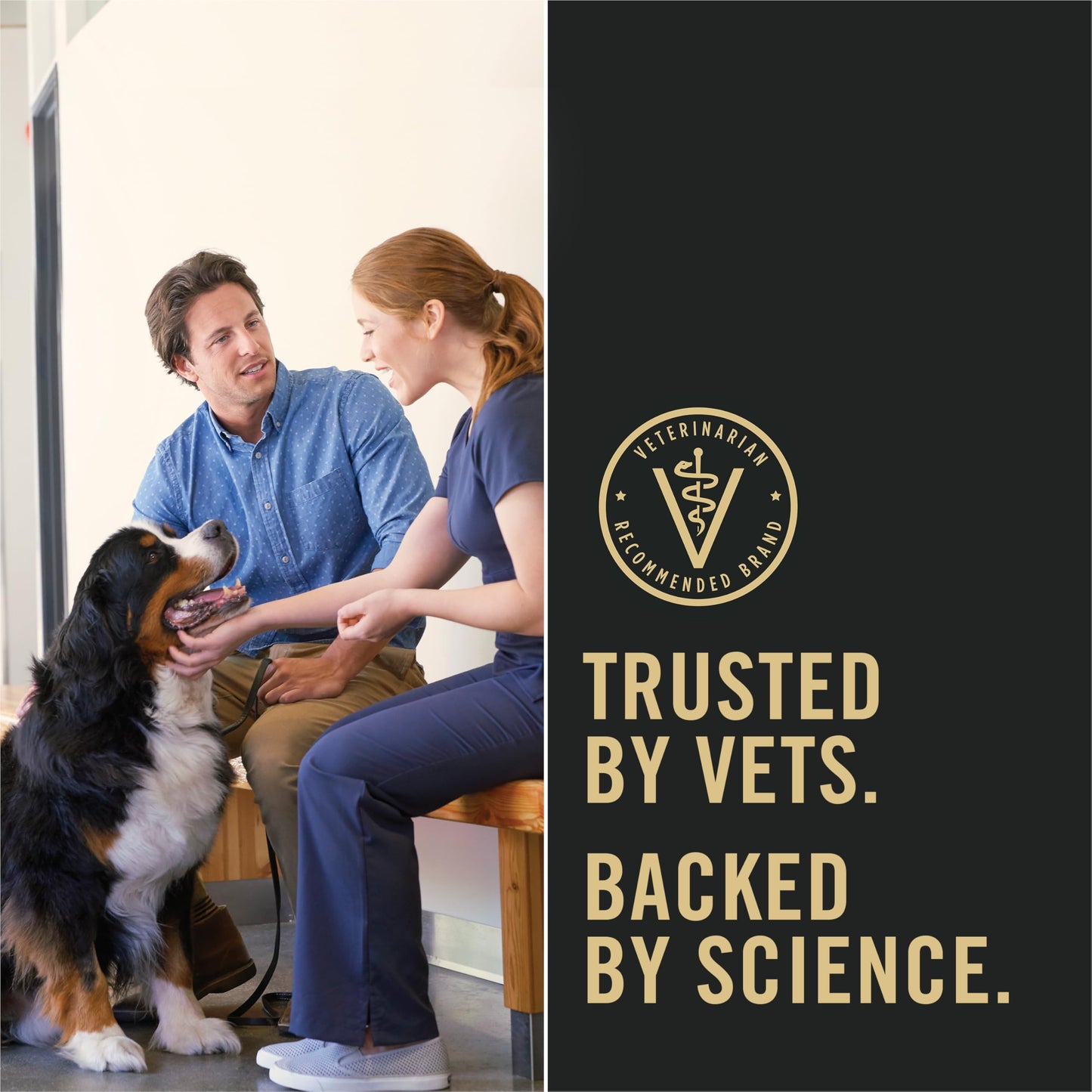 Purina Pro Plan Weight Management Wet Dog Food Beef and Rice Entree in Gravy - (Pack of 12) 13 oz. Cans