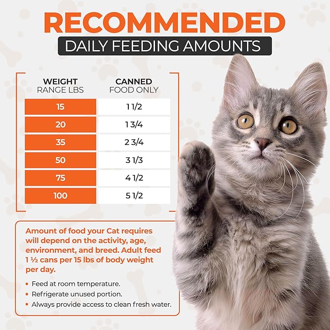 Chef Scoochie's Tender Seafood Chunks in Gravy Wet Cat Food - Easy Open Pop-Top Cans - Protein & Essential Nutrients - Gourmet Meal for Indoor & Outdoor Cats 12 Cans (14 oz e.)