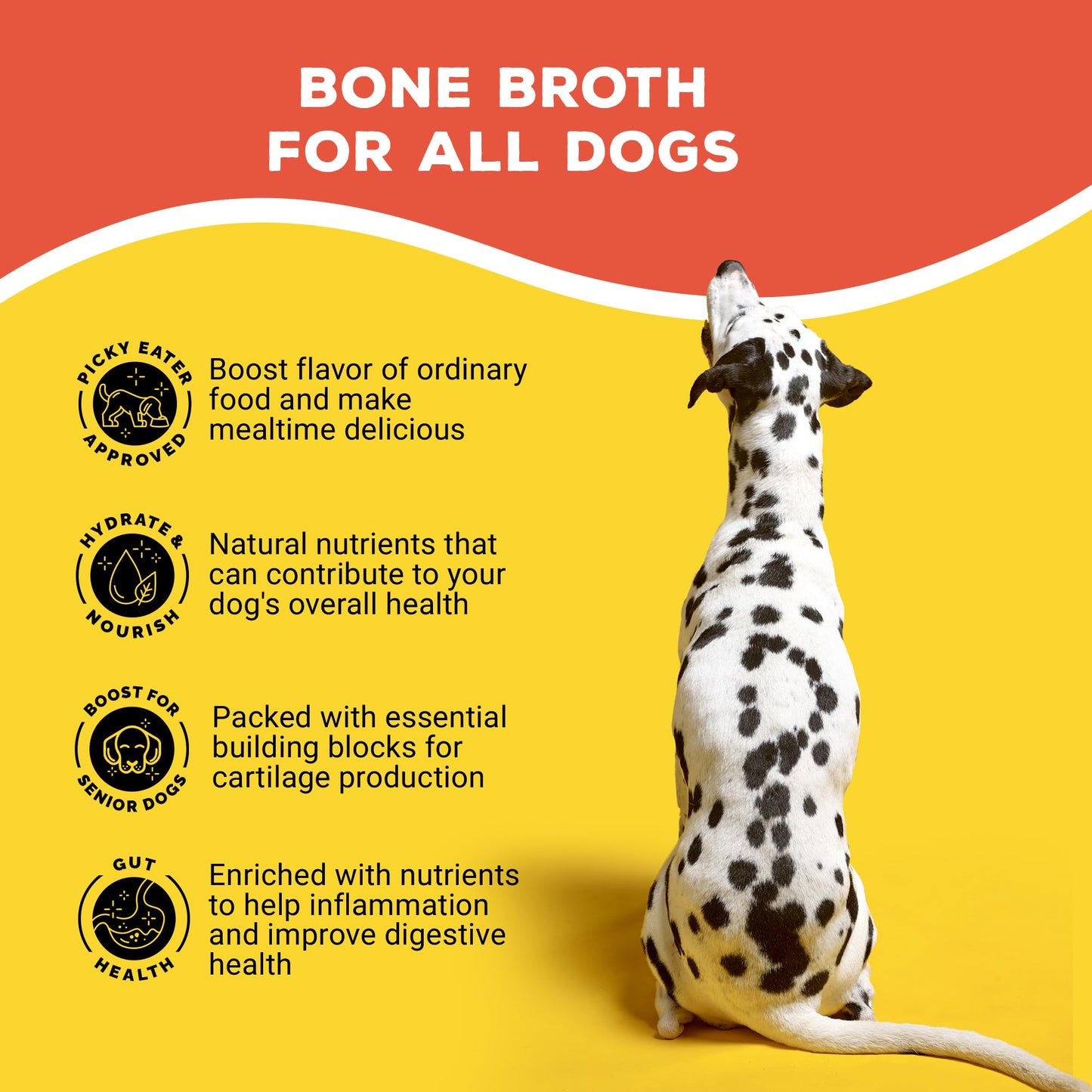 Brutus Bone Broth Probiotic Meal Toppers for Dogs Mega Pack (Pork) - Bone Broth Powder Fortified with Canine Probiotics - Dog Food Toppers for Dry Food - Makes 130oz of Liquid Bone Broth