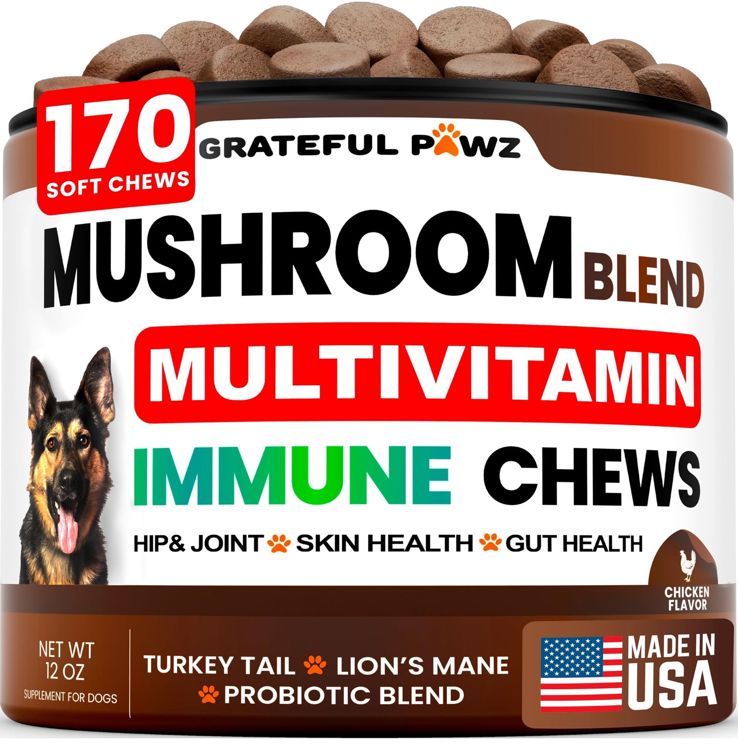 Mushroom Supplement for Dogs - 170 Chews - Mushrooms for Dogs - Turkey Tail, Reishi, Lion’s Mane, Glucosamine Multivitamin - Immune Booster, Gut, Hip & Joint Health Support Vitamins, Energy & Skin
