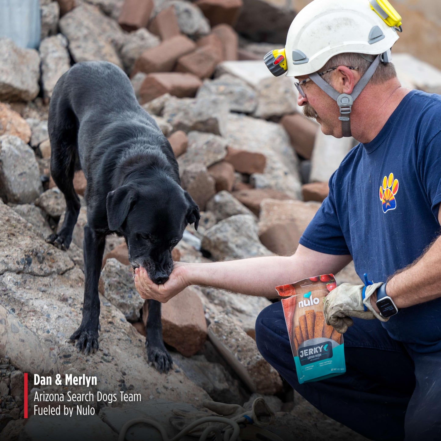 Nulo Premium Jerky Strips Dog Treats, Grain-Free High Protein Jerky Strips made with BC30 Probiotic to Support Digestive & Immune Health 5 Ounce (Pack of 1)