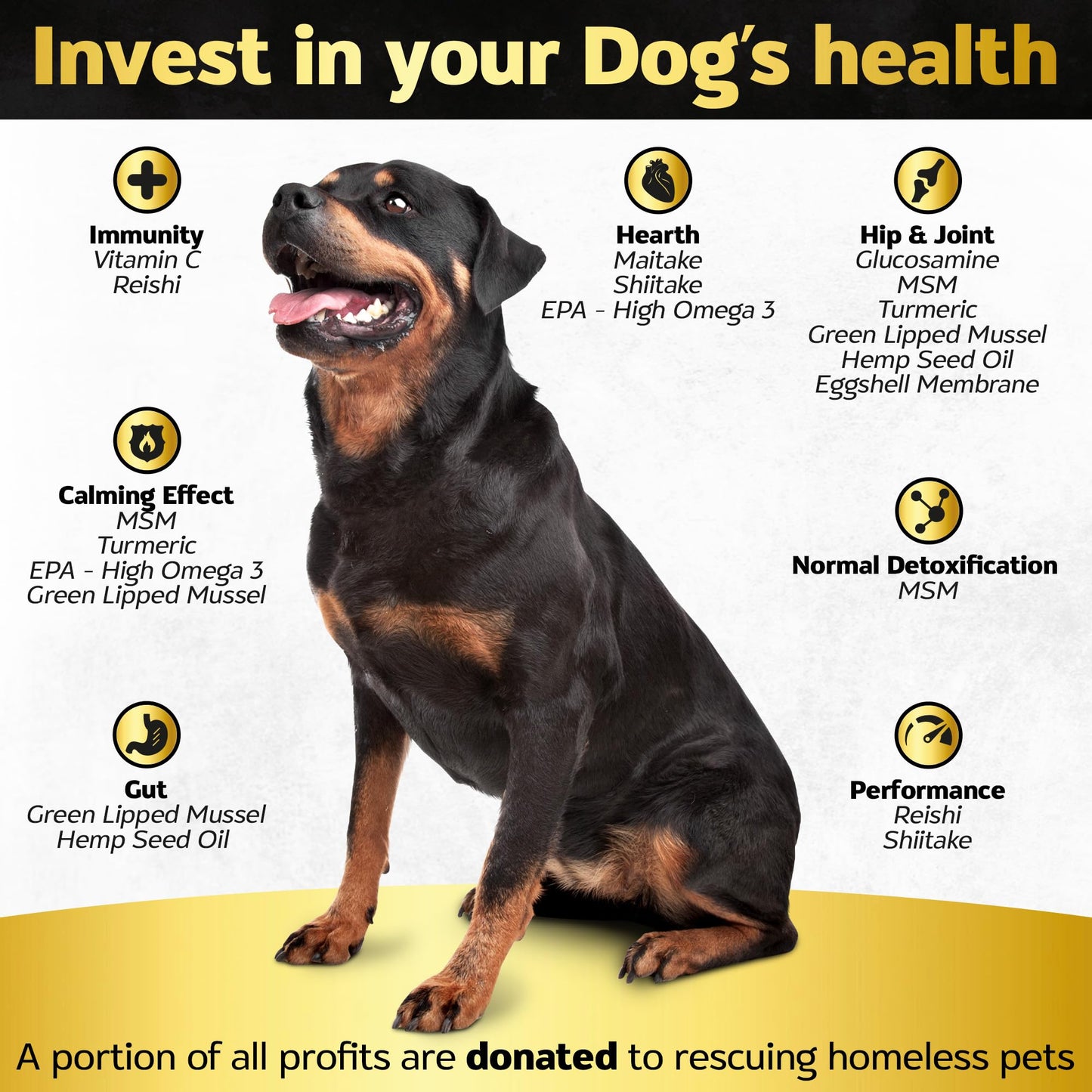 Life4Legs - Soft Chews Hip and Joint Supplement for Dogs - Dog Joint Pain Relief Treats - Glucosamine, Chondroitin, Turmeric- Mobility Supplement