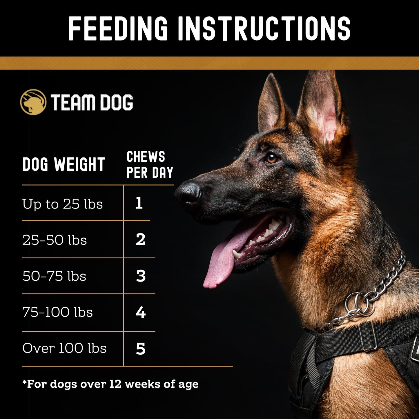 TEAM DOG Hip and Joint Chews for Dogs | Arthritis & Joint Support Supplements for Dogs | MSM, Chondroitin & Glucosamine | Small, Medium & Large Breed | Chicken, Duck & Pea Flavor | 120 Count