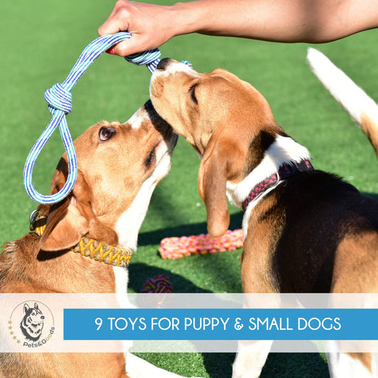 Dog Chew Toys - Puppy Teething Toys - Rope Toy Pack for Small Dogs - Tug Toy - Toy Set - Washable Cotton Rope for Dogs (Pack of 14)