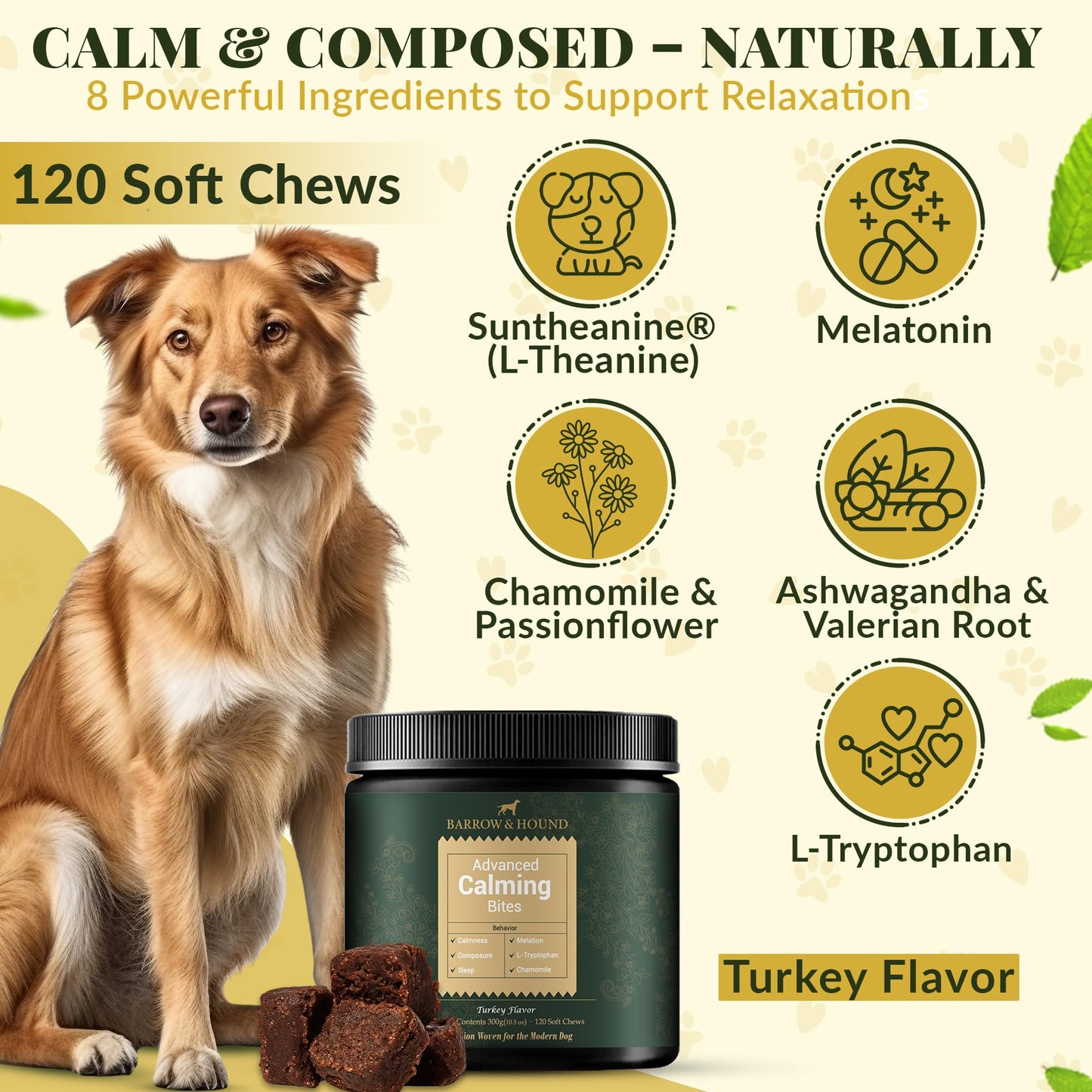 puyrzoe Dog Calming Diffuser with Three Timing Functions, 6-in-1 Dog Pheromones Calming Diffuser Kit, 120-Day Anxiety Relief, Stress Reduction & Relaxation for All Dogs (2 Diffusers + 4 Refills)