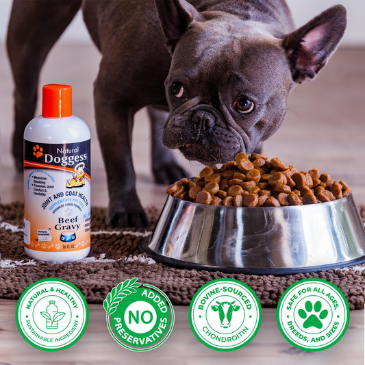 DOGGESS Dressing Best Hip and Joint Supplement for Dogs, Glucosamine & Chondroitin/Joint Health/Salmon Oil for Dogs Skin and Coat Health, Delicious Beef Gravy Flavor, 32 Oz