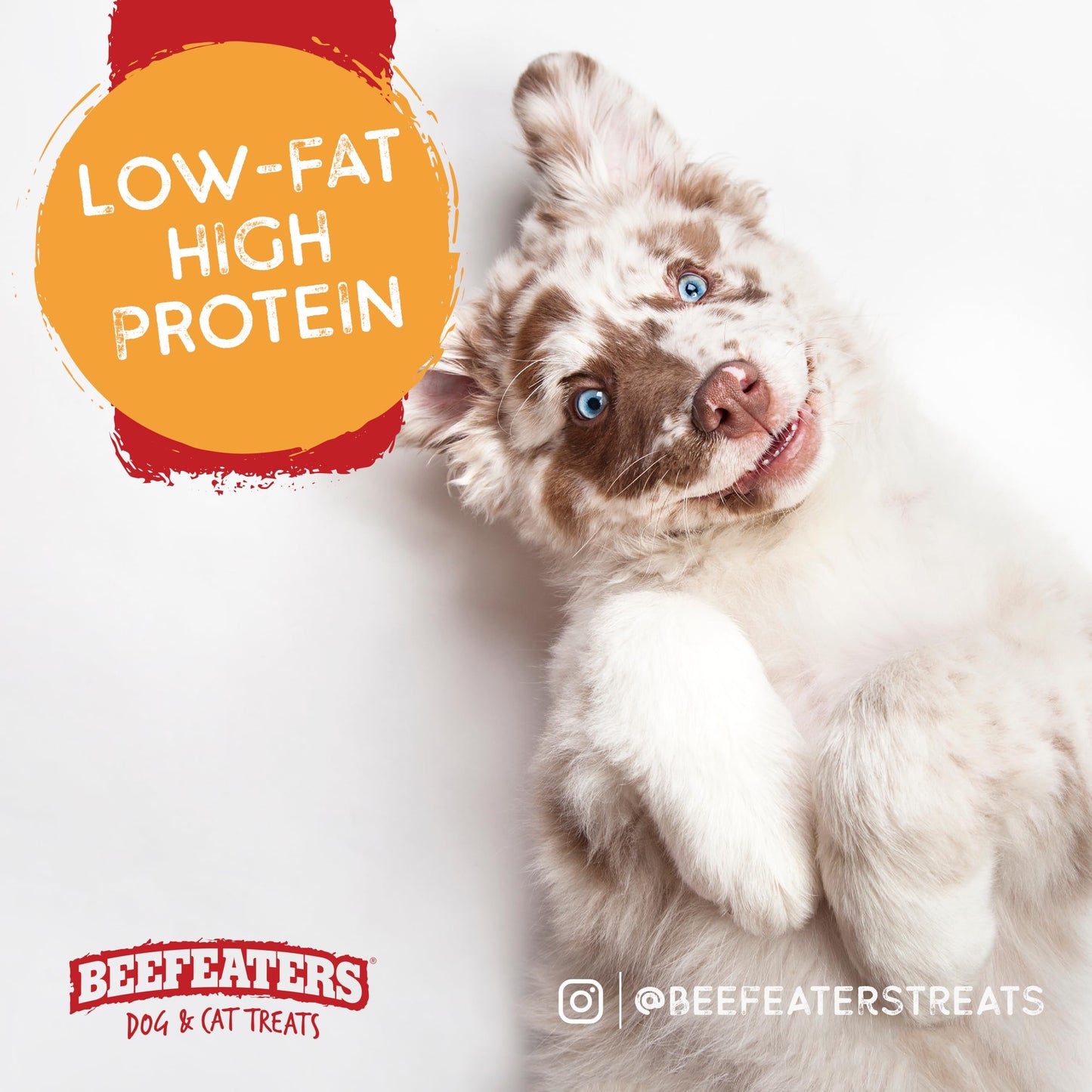 Beefeaters Dog Treats - Beefh 5in Twist with Chicken 26oz | Dog Food High Protein, Low Fat, Enriched with Vitamins & Minerals | Promotes Clean Teeth | Dog Training Treats for All Dog Sizes (Pack of 2)