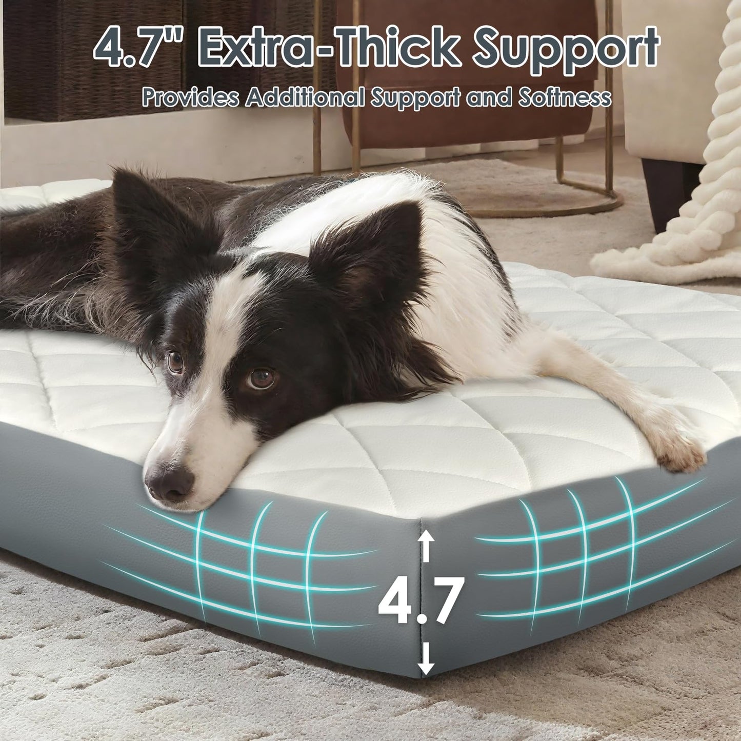 35.5" x 23.5" x 4.7" Large Orthopedic Dog Beds, Water-Resistant Faux Leather Memory Foam Dog Bed, Egg Crate Foam Support & Non-Slip Bottom Pet Beds for Medium Dogs and Large Dogs, Easy to Clean