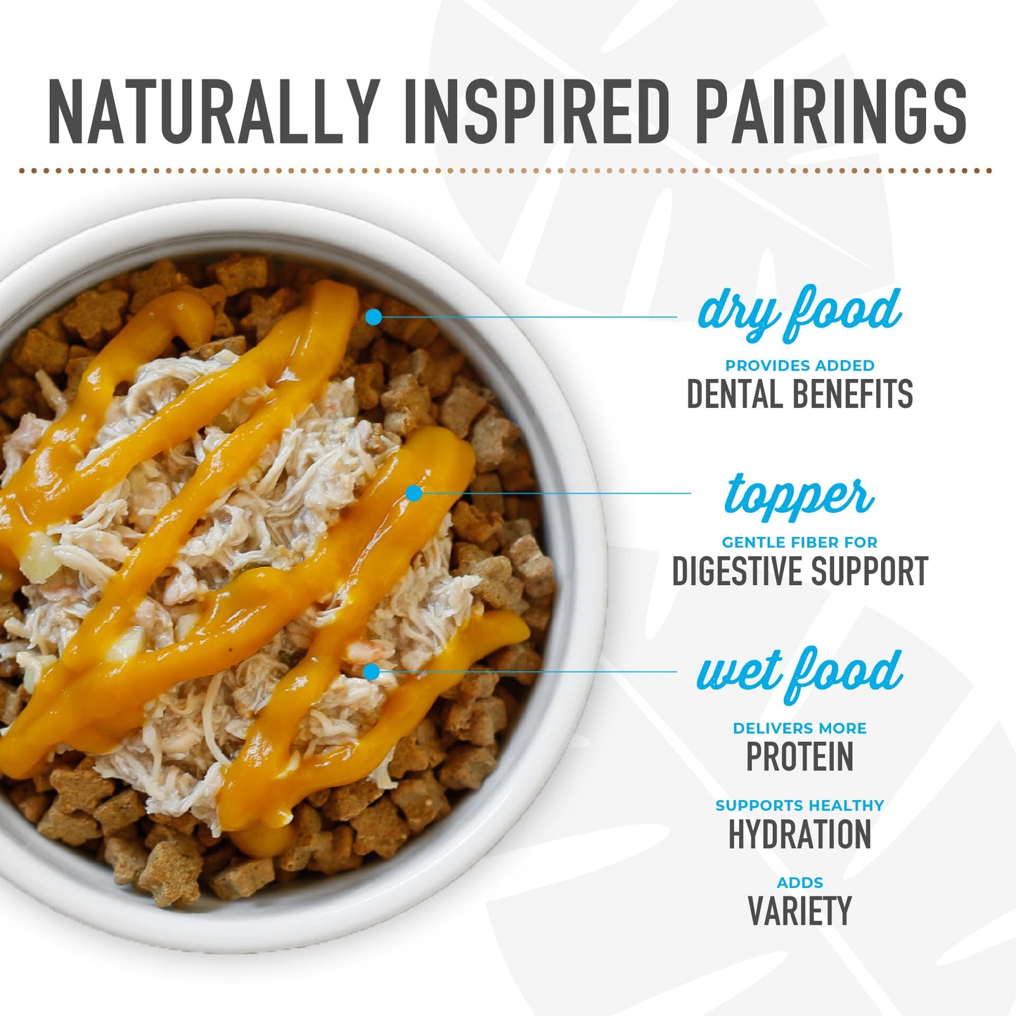 Tiki Dog Born Carnivore for Dogs, Savory Lamb, Peas & Lentils Recipe, Grain Free Baked Kibble for Maximum Nutrition, For Adult Dogs and All Size Breed Dogs, 3.5 lbs. Bag