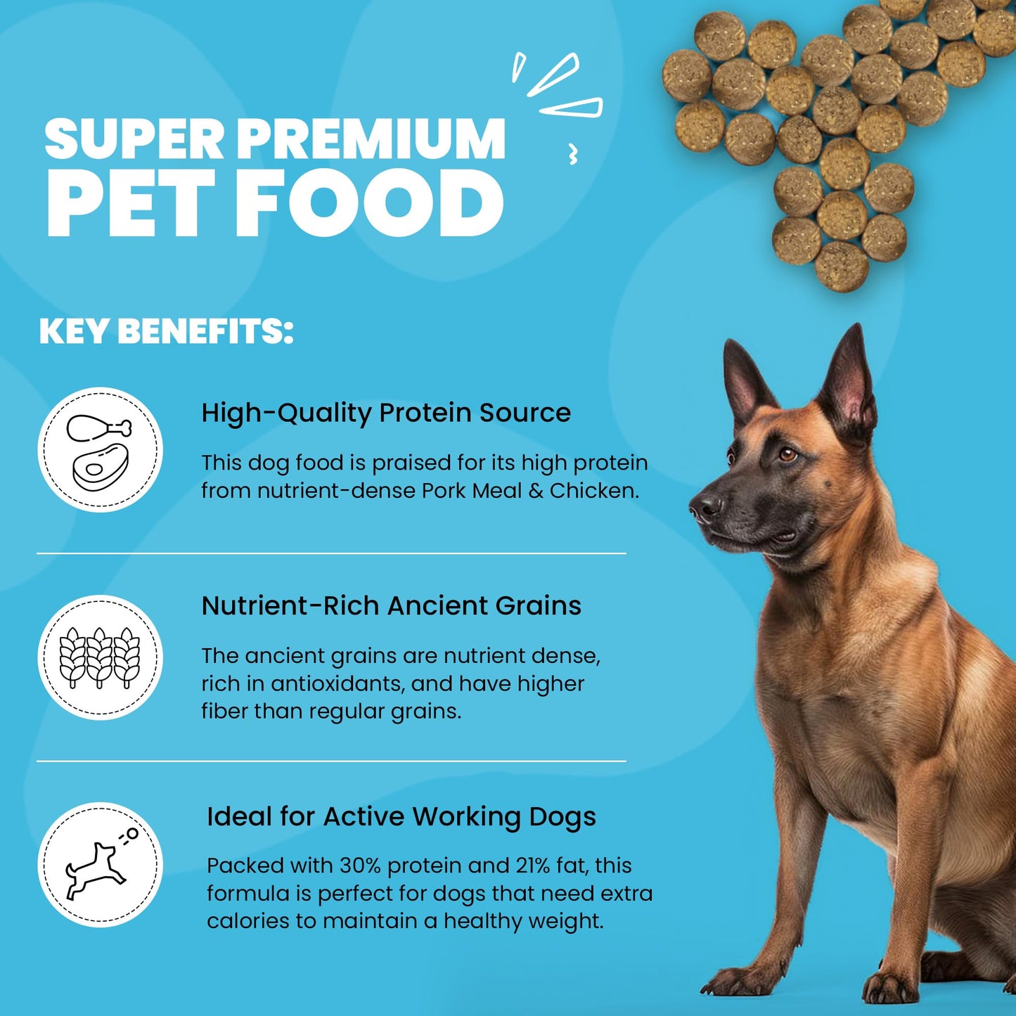 Muenster Ancient Grains Chicken & Pork Dry Dog Food, 22lb - Gluten-Free, High Protein, Digestive Support