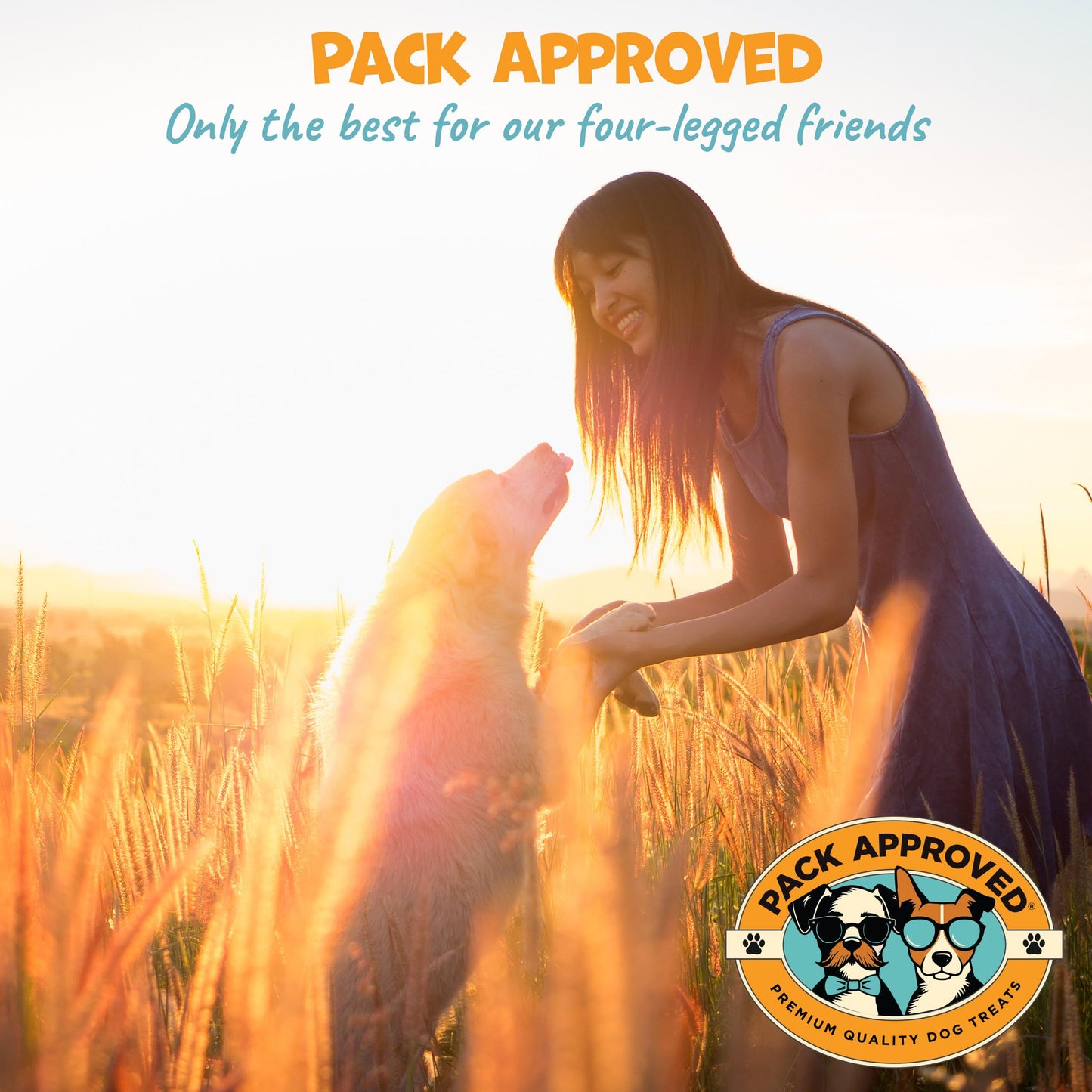 Pack Approved Camel Skin Dog Chews for Aggressive Chewers - Hypoallergenic Natural Collagen Sticks for Dental Health & Protein Boost - Long Lasting Treats for Large Dogs