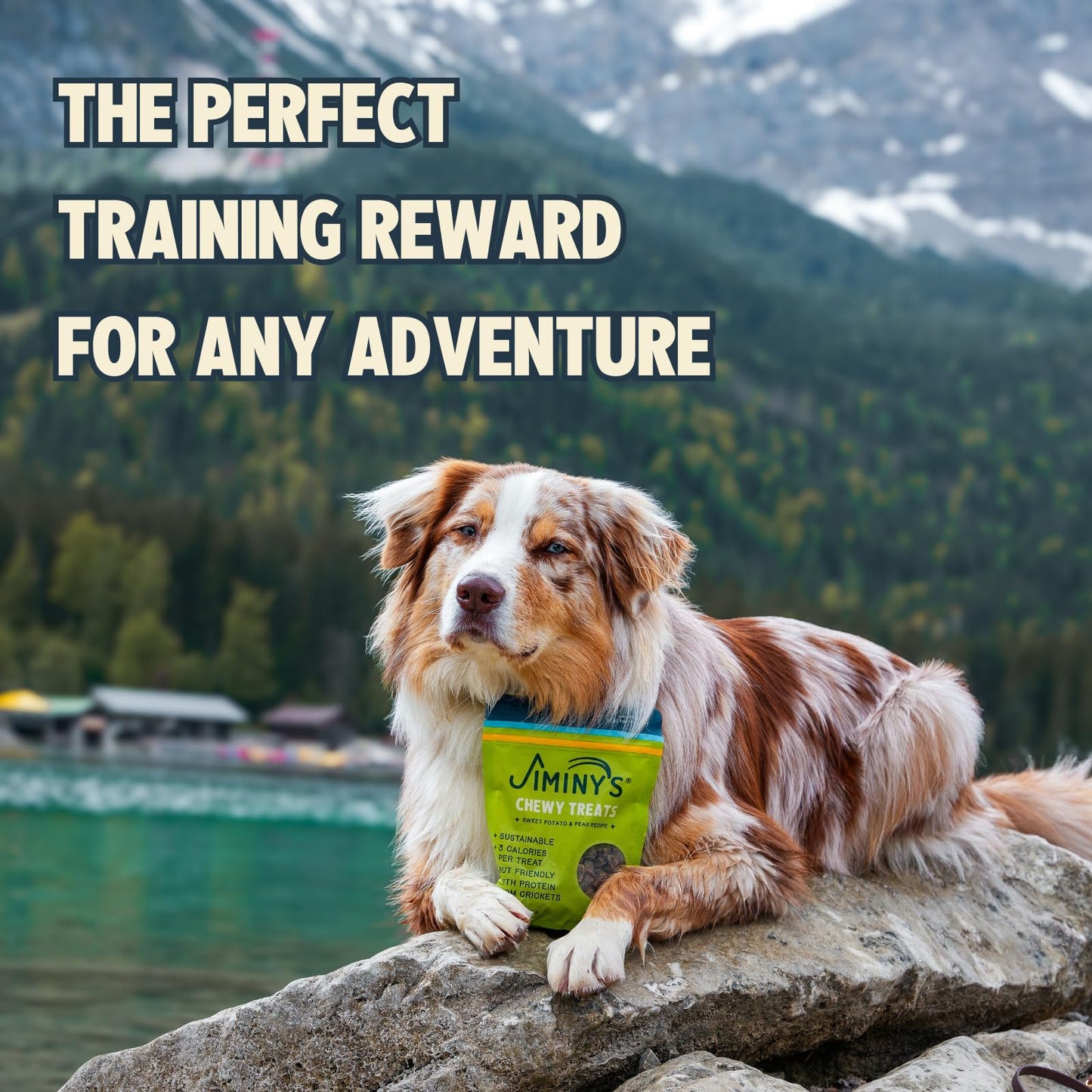 Jiminy's Chewy Cricket Dog Training Treats, Low Calorie, Hypoallergenic, 6oz, Sweet Potato & Pea (Pack of 1)