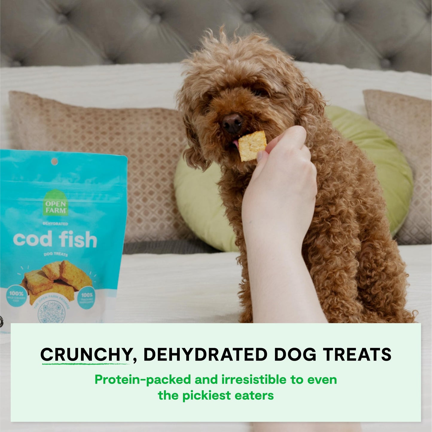 Open Farm, Dehydrated Dog Treats, High Protein & Low Carbohydrate Dog Snacks, Crunchy Texture, Single Ingredient Wild-Caught Cod Fish Recipe, 2oz Pouch