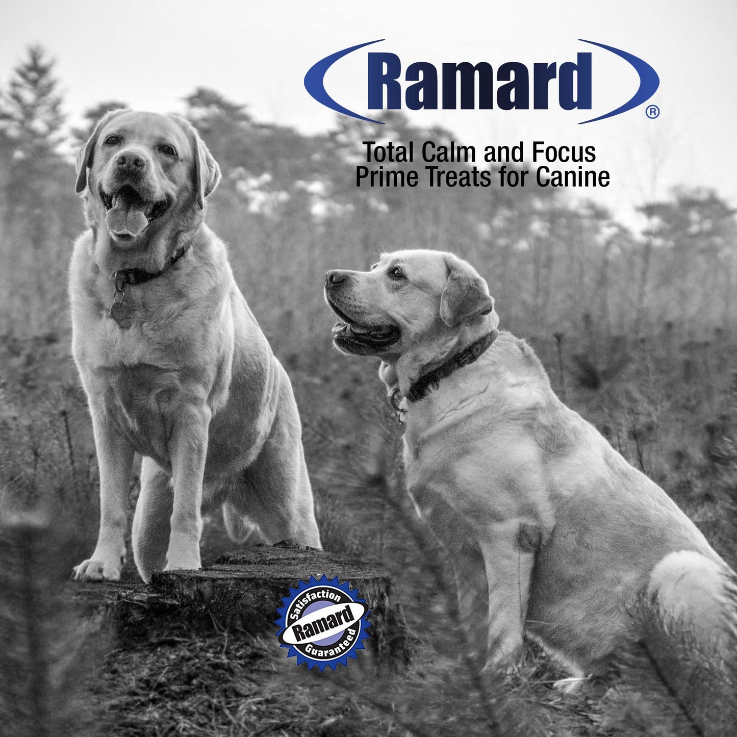 Ramard Total Calm & Focus Dog Treat Supplement - Natural Calming Chews with Magnesium & B-Vitamins - 45 Soft Chews for Canine Calmness During Training, Grooming, and Everyday Enjoyment