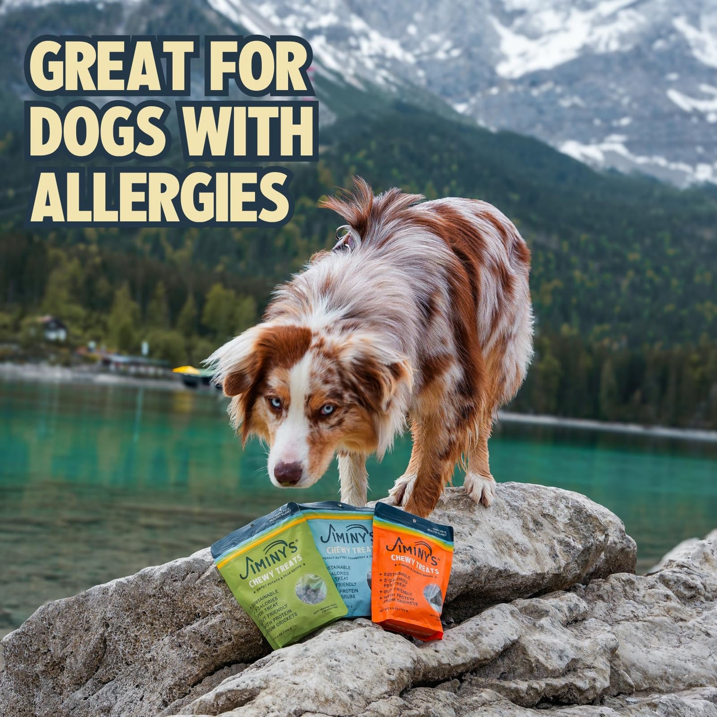 Jiminy's Chewy Cricket Dog Training Treats, Low Calorie, Hypoallergenic, Made in USA, 6oz, Variety Pack (Pack of 3)