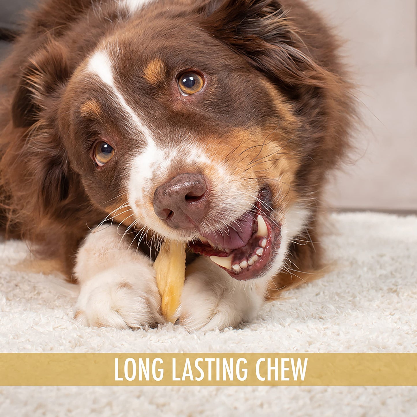 Wild Eats Water Buffalo All Natural Ear Dog Chews, Dog Treats & Snacks - 20 Piece Value Pack (Grain Free Treats - Great Alternative to Pig Ears, Cow Ears, Bones & Rawhides)