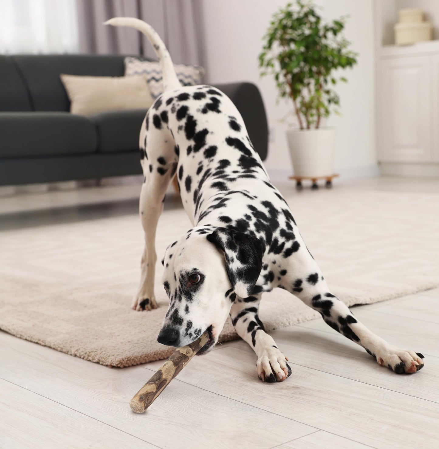 Fuzzl Olive Stix Medium 2 Pack Dog Chew Toy - Natural Olive Wood Dog Chews Tough Toys Long Lasting Chew Toys for Aggressive Chewers