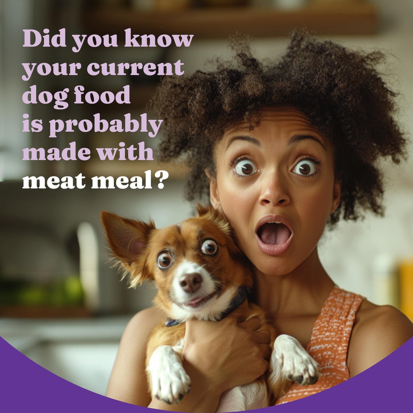 Halo Holistic Dog Food Cage Free Turkey & Sweet Potato Formula, Grain Free Dry Dog Food, for Healthy Weight Support, Kibble for Adult Dogs, 3.5 lb Bag