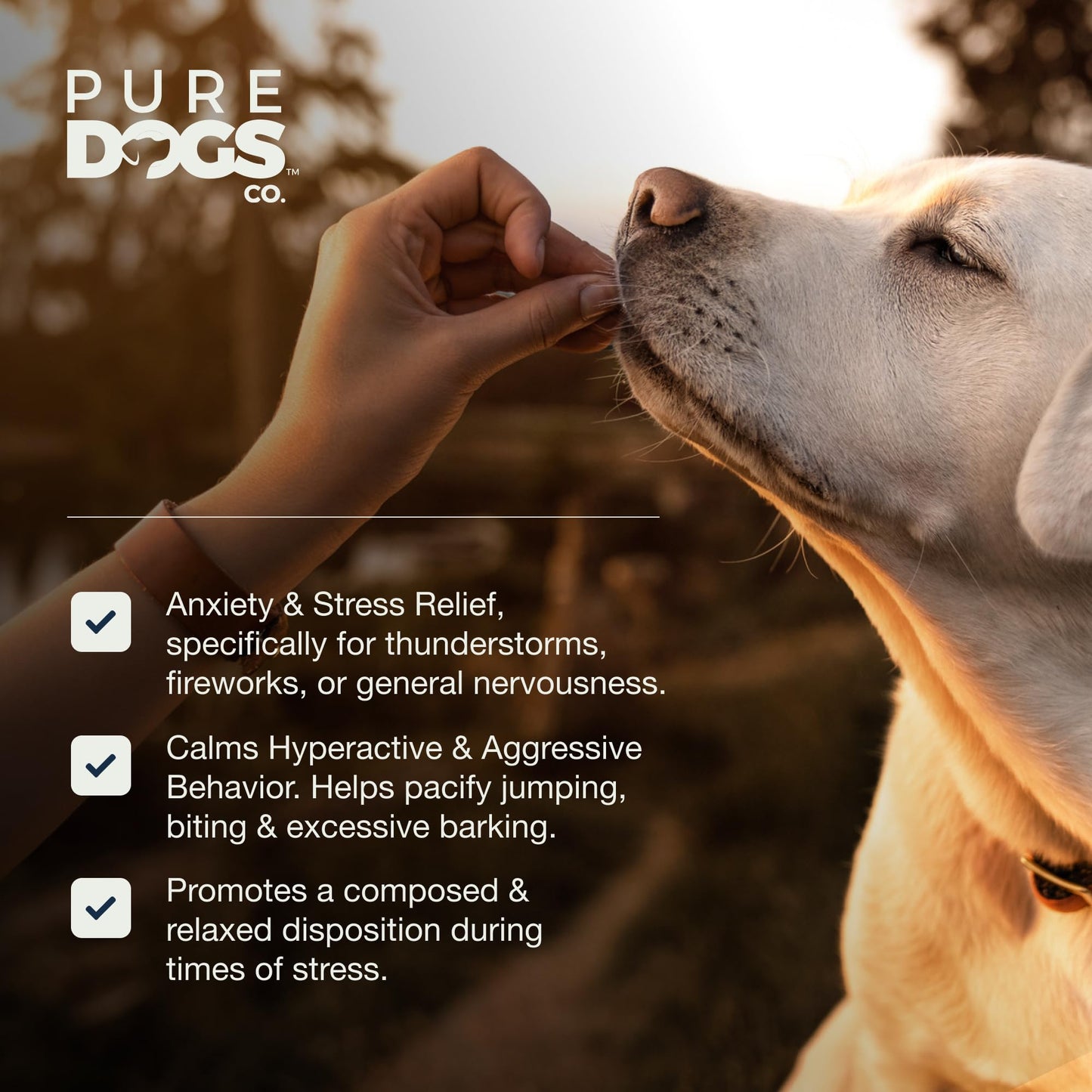 Pure Dogs Calming Chews for Anxiety & Stress Relief - Dog Treats with Organic Hemp & GABA - Soothe Scratching & Restlessness - 90 Calming Treats