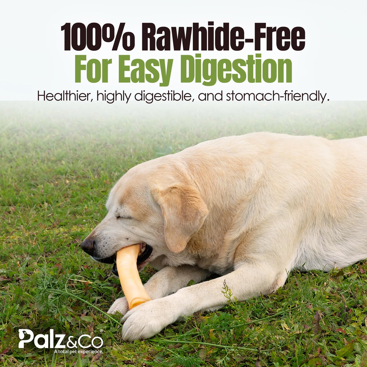 Palz&Co Moodog Beef Corium Collagen Roll 11" Bacon Flavor - 100% Natural Dog Treat, Grain-Free, High Protein, Made in USA, Long Lasting Chew