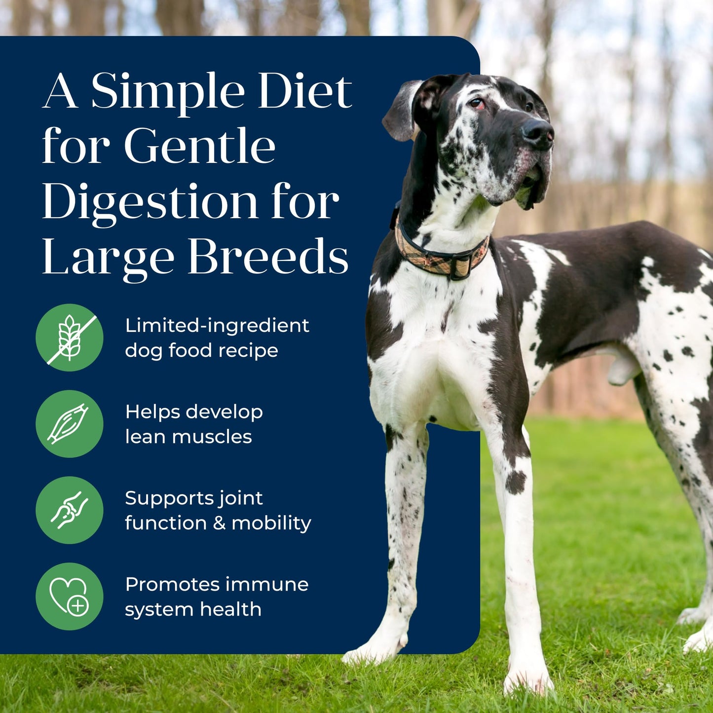 Blue Buffalo Basics Adult Large Breed Grain-Free Dry Dog Food for Skin & Stomach Care, Limited Ingredient Diet, Made in the USA with Natural Ingredients, Lamb & Potato Recipe, 22-lb. Bag