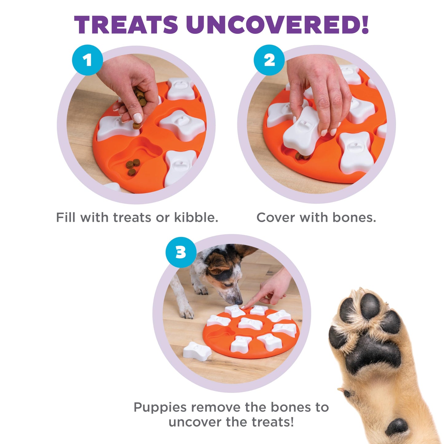 Outward Hound by Nina Ottosson Dog Smart Treat Puzzle Enrichment Toy, Level 1 Beginner, Orange