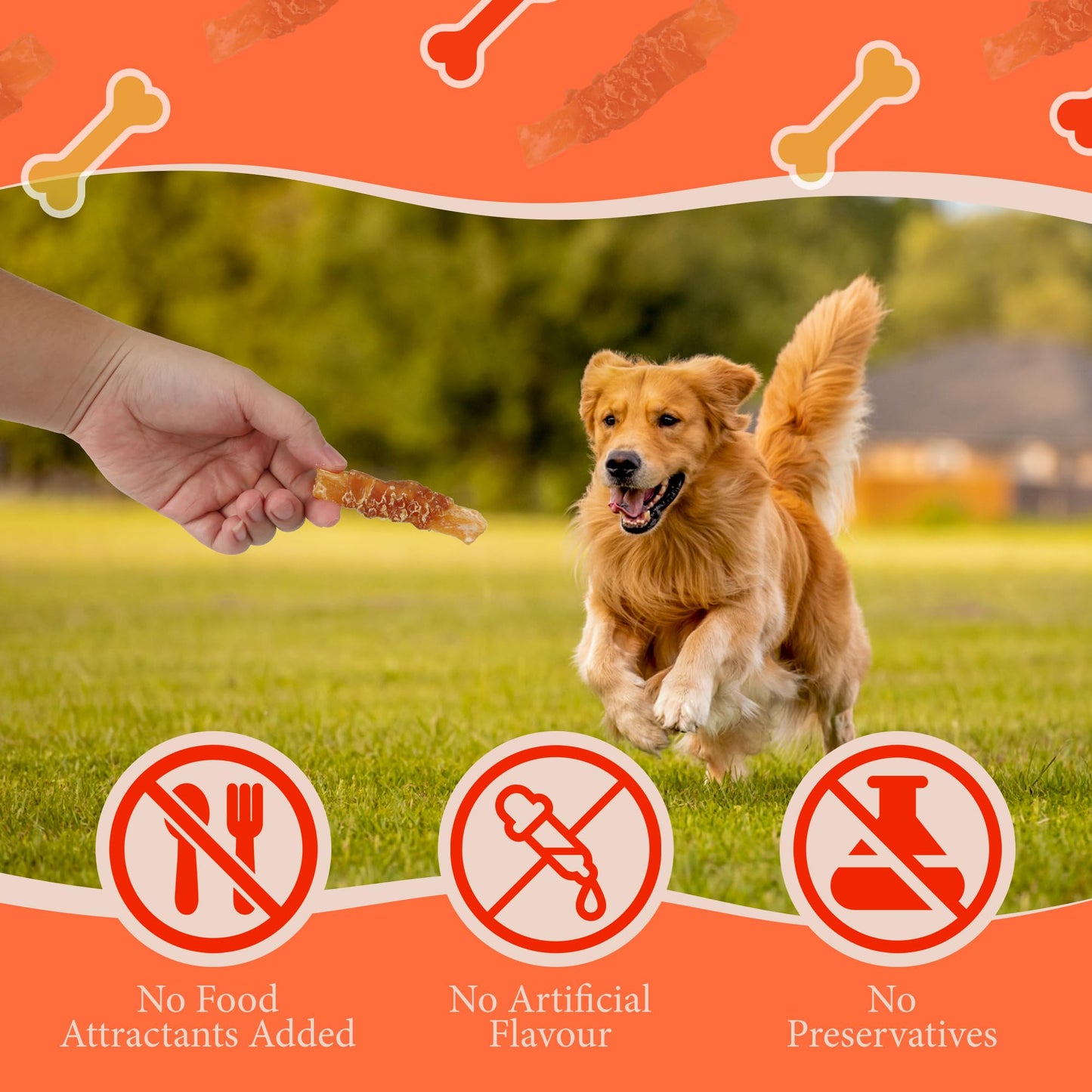 Annika Chicken Wrapped Sweet Potato Dog Treats – Grain-Free, Healthy Natural Jerky Chews, High Protein, Dental-Friendly Puppy Training Snacks for Small, Medium & Large Dogs, 11.6 oz