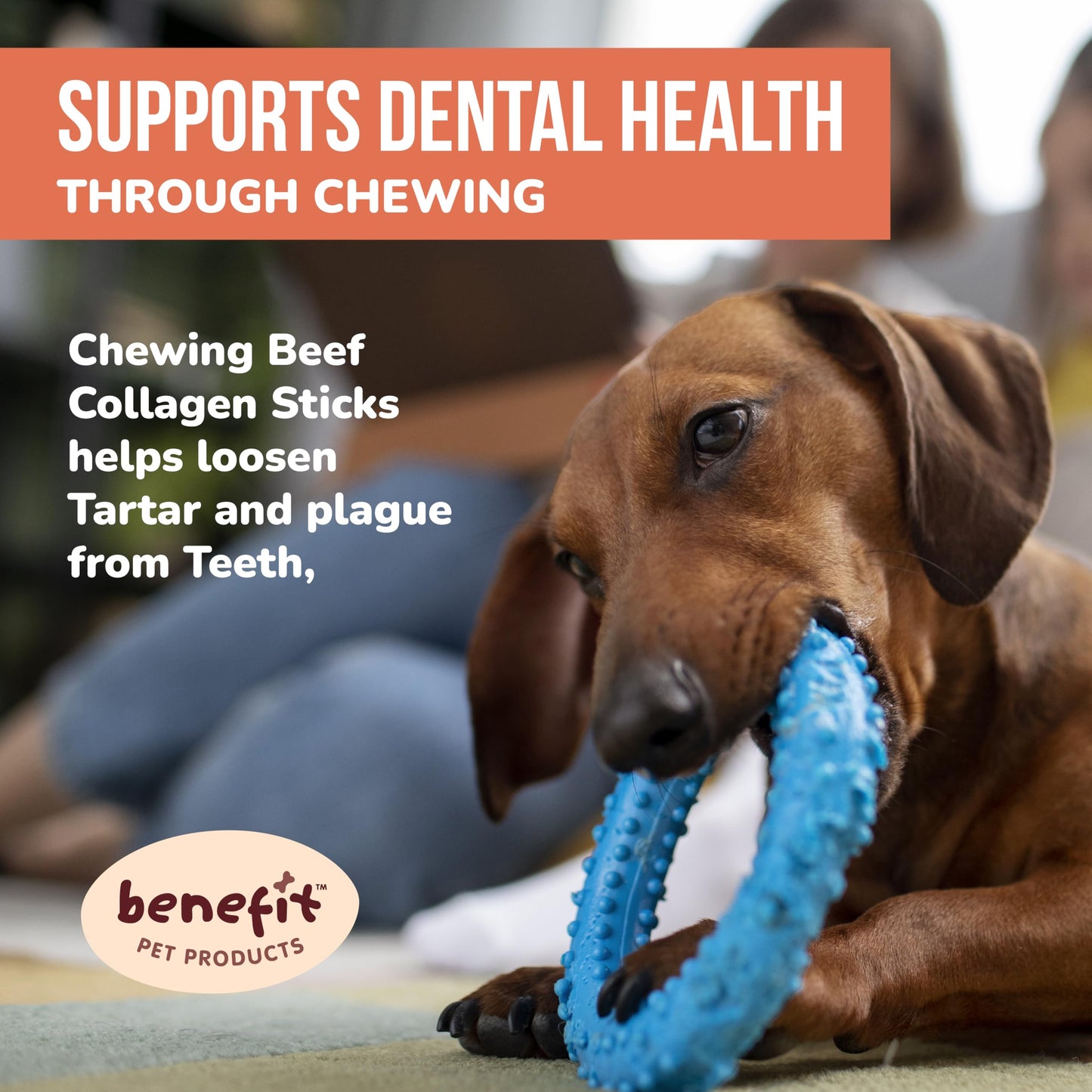 Benefit Pet Products Collagen for Dogs - Single Ingredient Dog Treat, Rawhide Free, Collagen for Dogs, Long Lasting Dog Chews (6 inch, 5 ct)