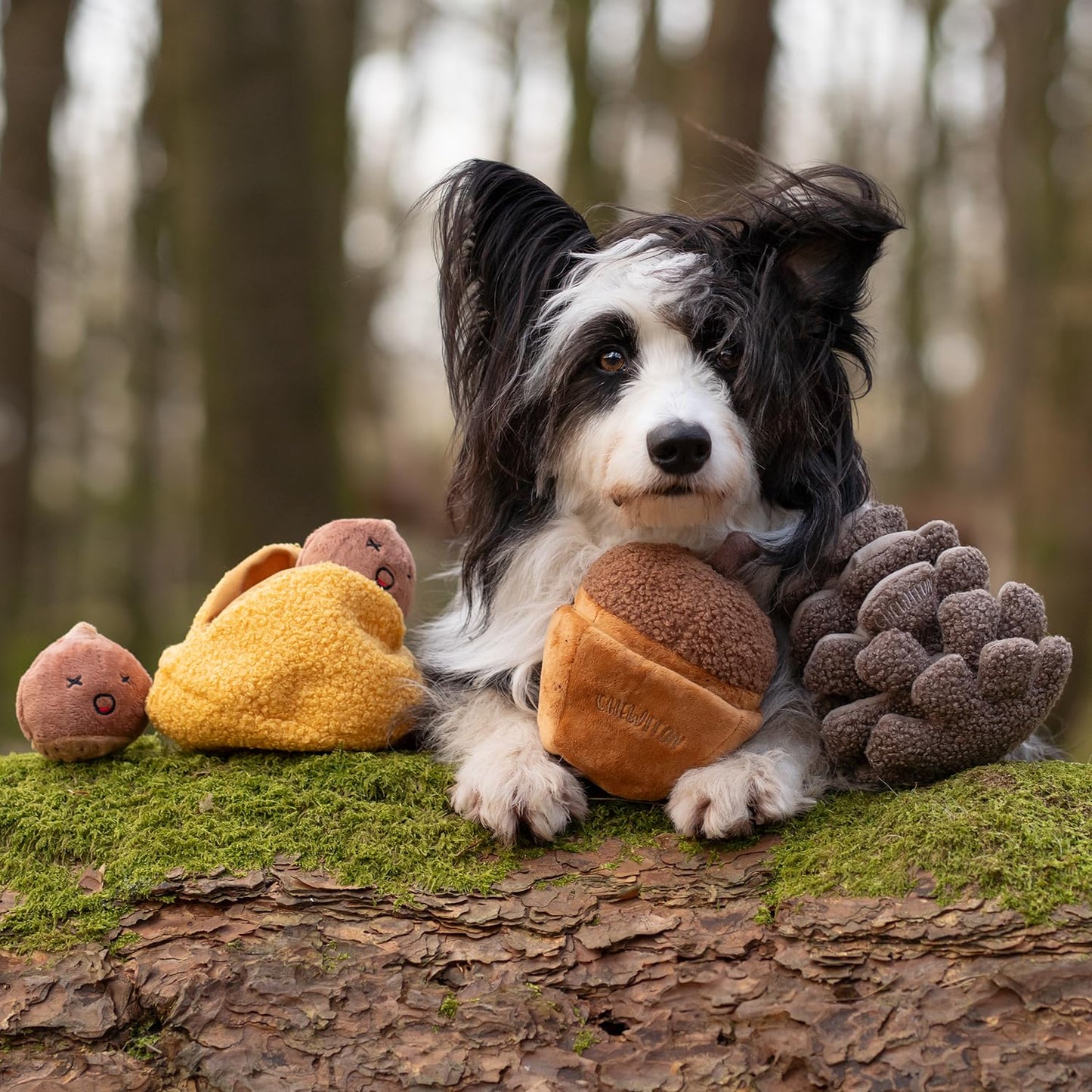 CHEWFFON Interactive Hide-and-Seek Burrow Toys, Dog Toys for Boredom, Cute Squeaky Plush Toy, Dog Toys for Small Medium and Large Dogs, Crinkle Snuffle Puzzle Toy-Chestnuts 4 Piece Set