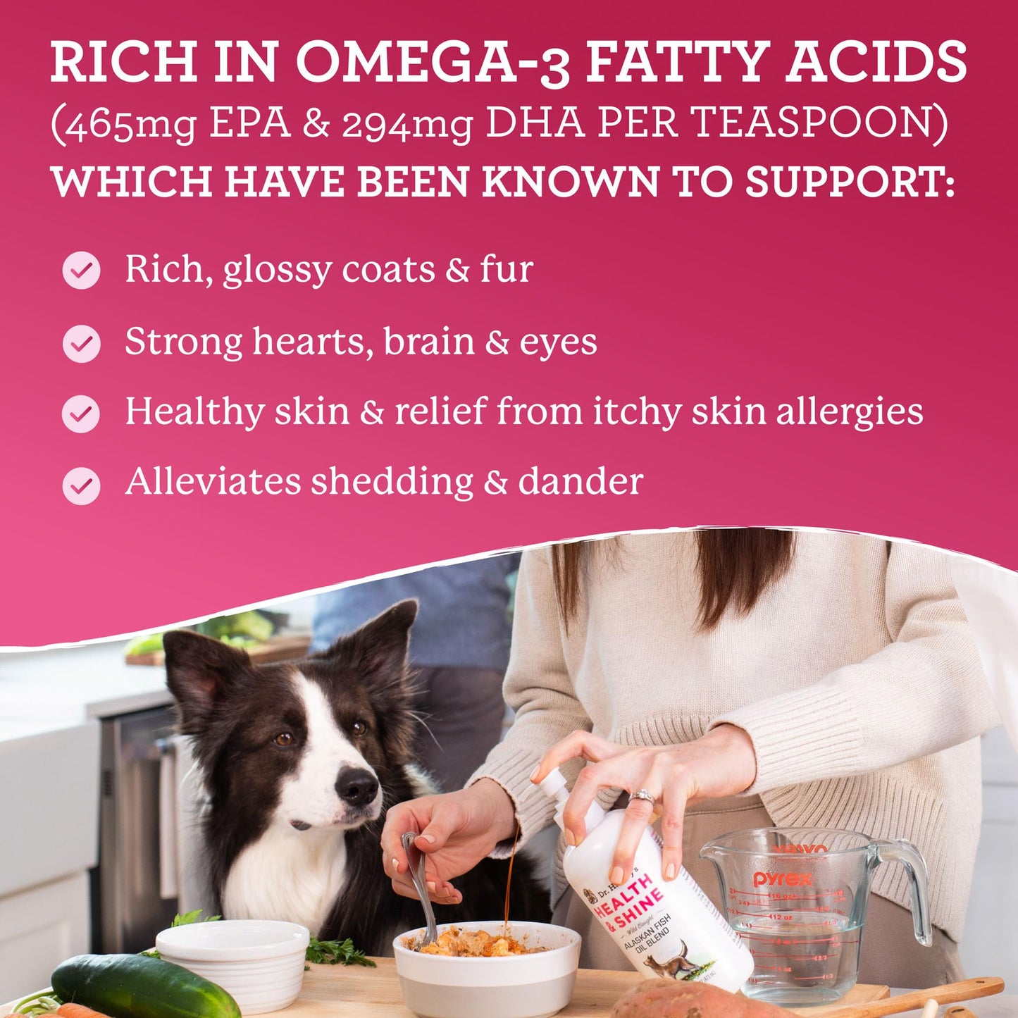 Dr. Harvey's Health & Shine Alaskan Fish Oil Blend for Dogs - Supports Healthy Heart, Brain, and Eyes (16 fl. oz.)