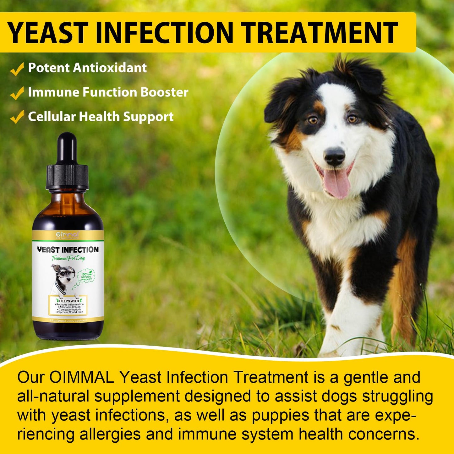 Yeast Infection Treatment for Dogs, Naturally Supports Dog Healthy Itch Relief, Ear Infection Treatment, Dogs Allergy Relief, Inflammation Relief & More (1pcs)