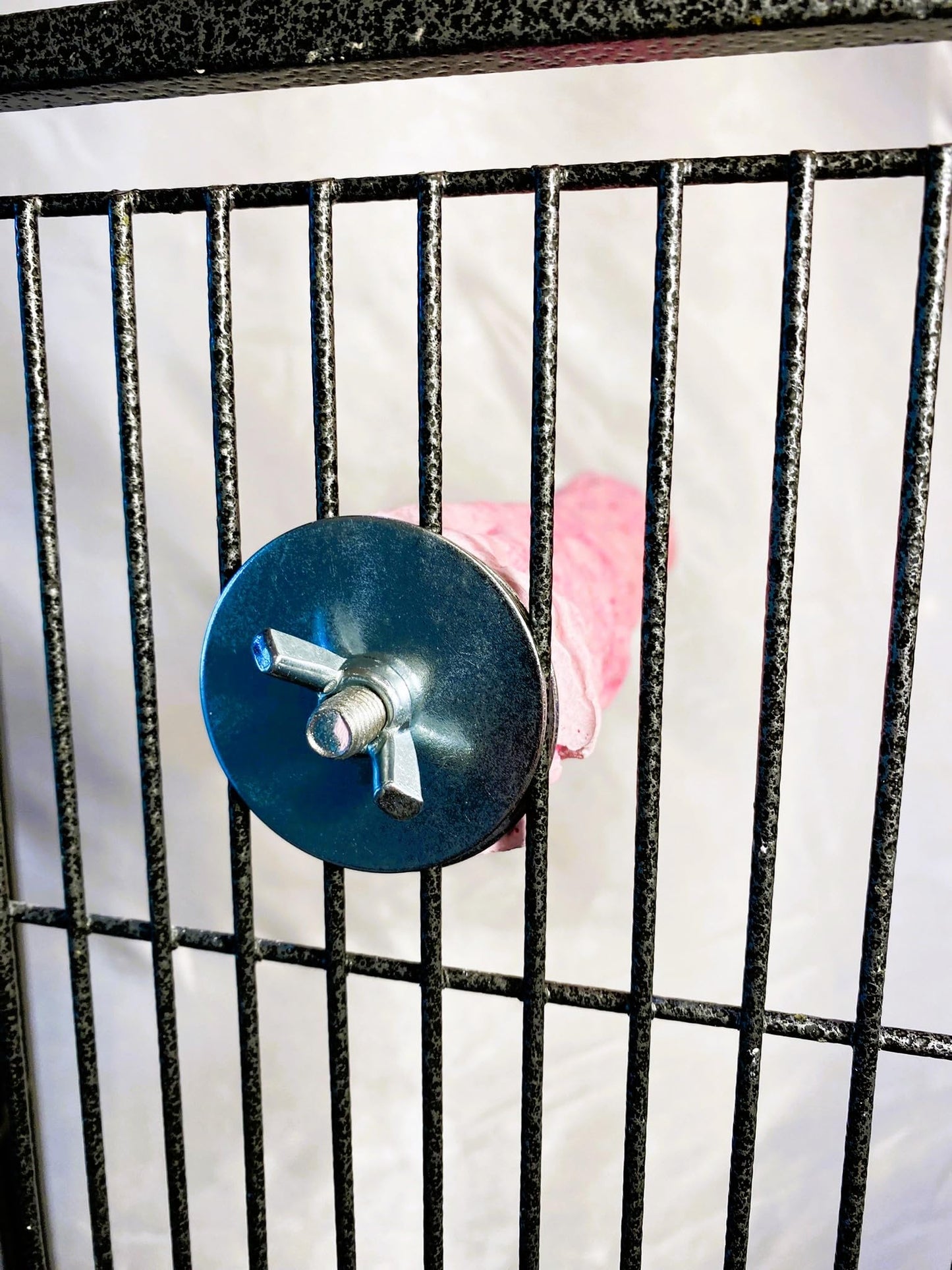 Pawfoo Lab Squeaky Dog Toys, Plush Puzzle Hide and Seek Puppy Toys to Keep Them Busy – Cute Stuffed Dog Chew Toys for Small, Medium Breed - Crab