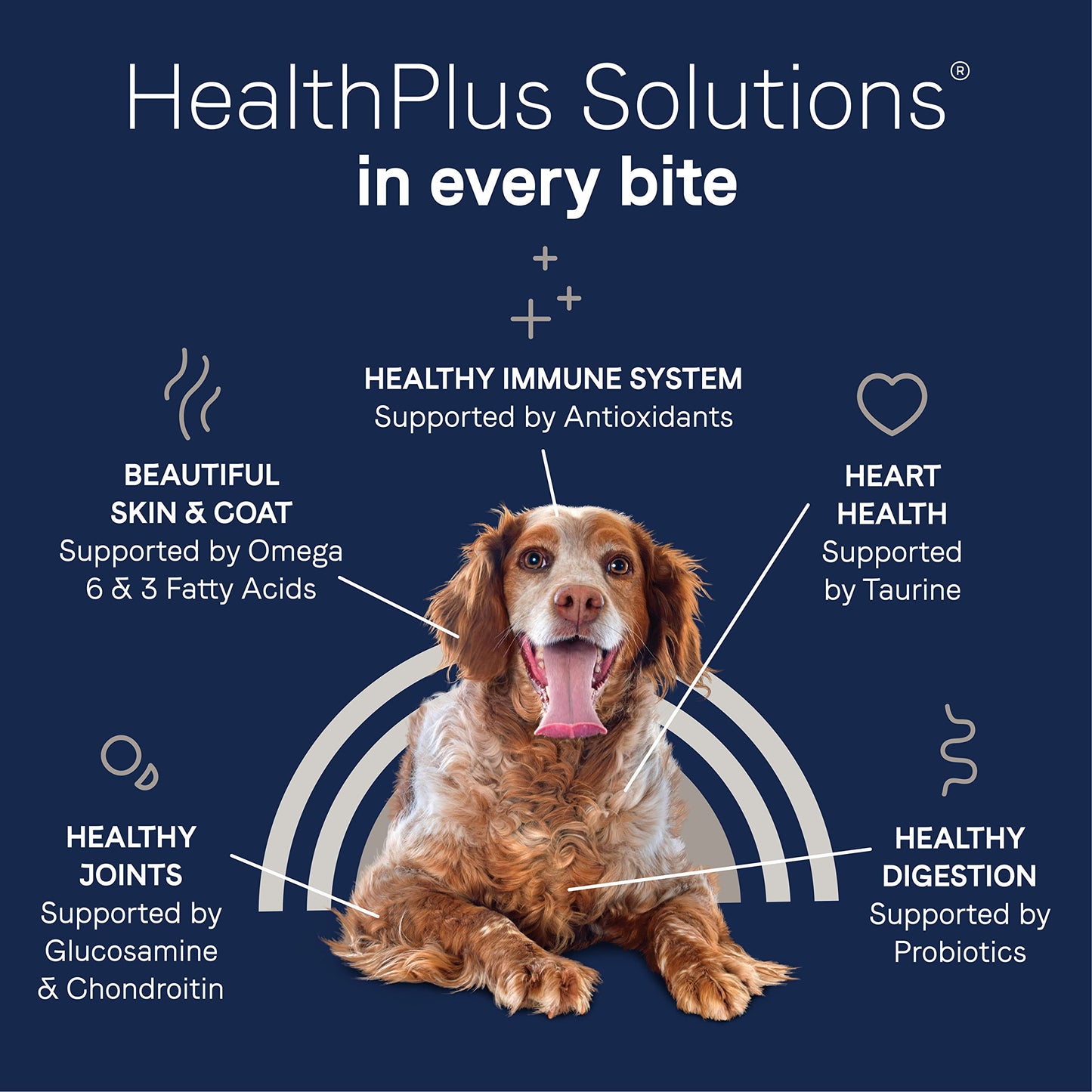 Canidae Pure Limited Ingredient Premium Dry Dog Food for Seniors, Real Chicken, Sweet Potato & Garbanzo Bean Recipe, 22 lbs, Grain Free