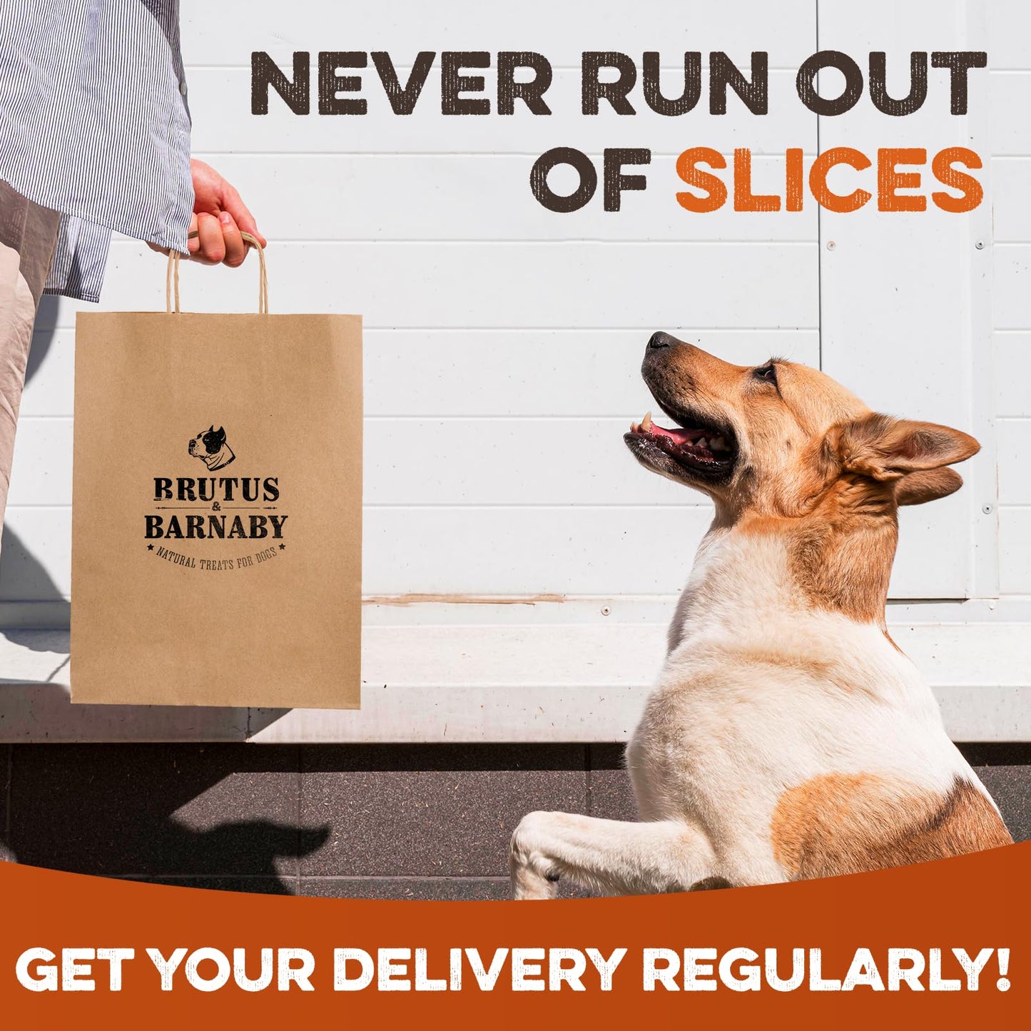 Sweet Potato Slices For Dogs - Soft & Chewy - Single Ingredient Dog Treats, Healthy 100% Natural Sweet Potato Dog Treats With No Added Preservatives - Softer & Great For Puppies Or Senior Dogs (8oz)