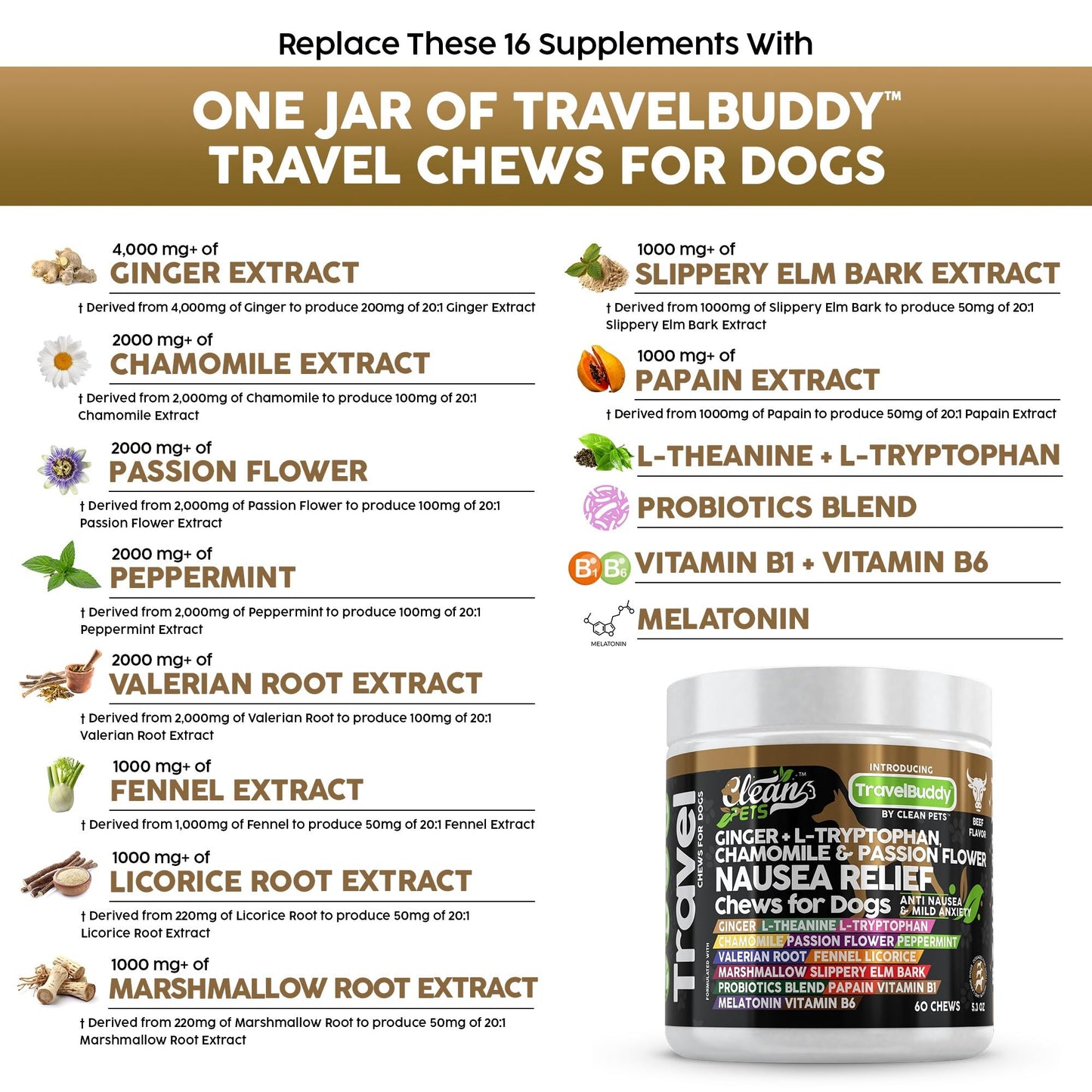 Clean Pets Travel Chews Nausea Relief for Dogs | Ginger L-Tryptophan Chamomile Passion Flower L-Theanine Peppermint Valerian Root Fennel Licorice Root Marshmallow Root Slippery Elm Melatonin Chew