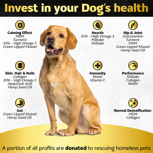Life4Legs - Hip and Joint Chews for Dogs + Skin and Coat Supplement - Dog Joint Pain Relief Treats - Glucosamine, Chondroitin, MSM, Hemp Oil, Turmeric, Omega 3 for Dogs, Mobility Dog Health Supplies