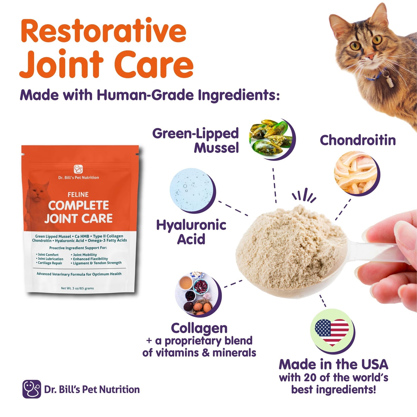 Dr. Bill’s Feline Complete Joint Care | Advanced Hip & Joint Supplement for Cats | Green Lipped Mussel Extract, Collagen Type II, Chondroitin, Hyaluronic Acid, Omega 3 and Colostrum | Powder, 85g