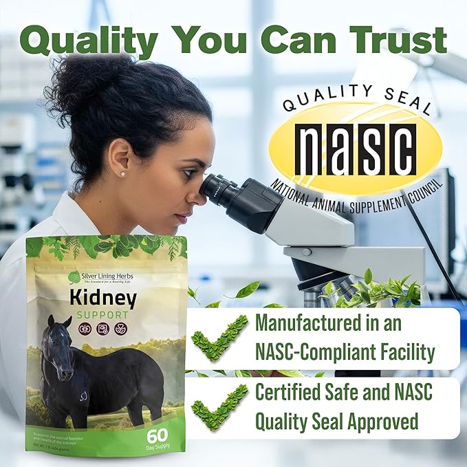 Silver Lining Herbs Kidney Support Supplement for Horses - Horse Supplements for Kidney Health and Bladder Support - Complete with Chamomile, Garlic, Juniper Berry, and More - 1 lb 60-Day Supply