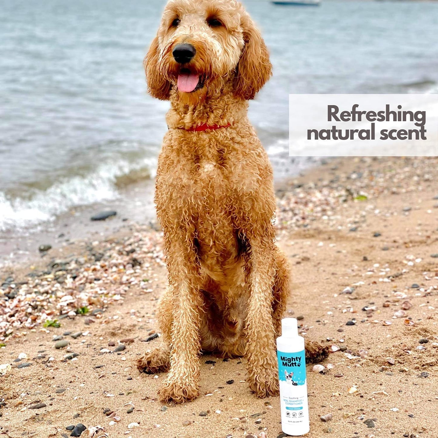 Mighty Mutt Soothing Dog Shampoo and Conditioner – Pet Friendly | Deodorizes Smelly Dogs | Detangles | Natural, Hypoallergenic & Anti-Itch Dog Shampoo Sensitive Skin – Fresh Breeze | 9 fl oz