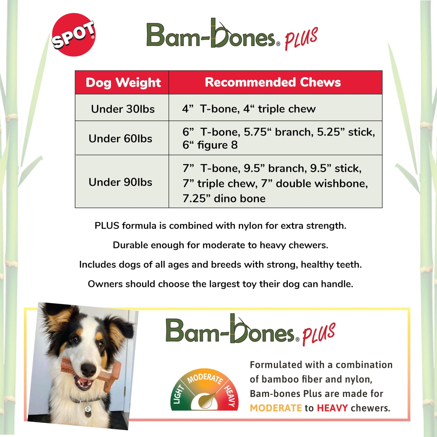 SPOT Bam-Bones Plus T-Bone, Bamboo Fiber & Nylon Dog Chew, Durable for Aggressive Chewers, Non-Splintering, for Adult Dogs & Teething Puppies Under 90lbs, 7in, Chicken Flavor