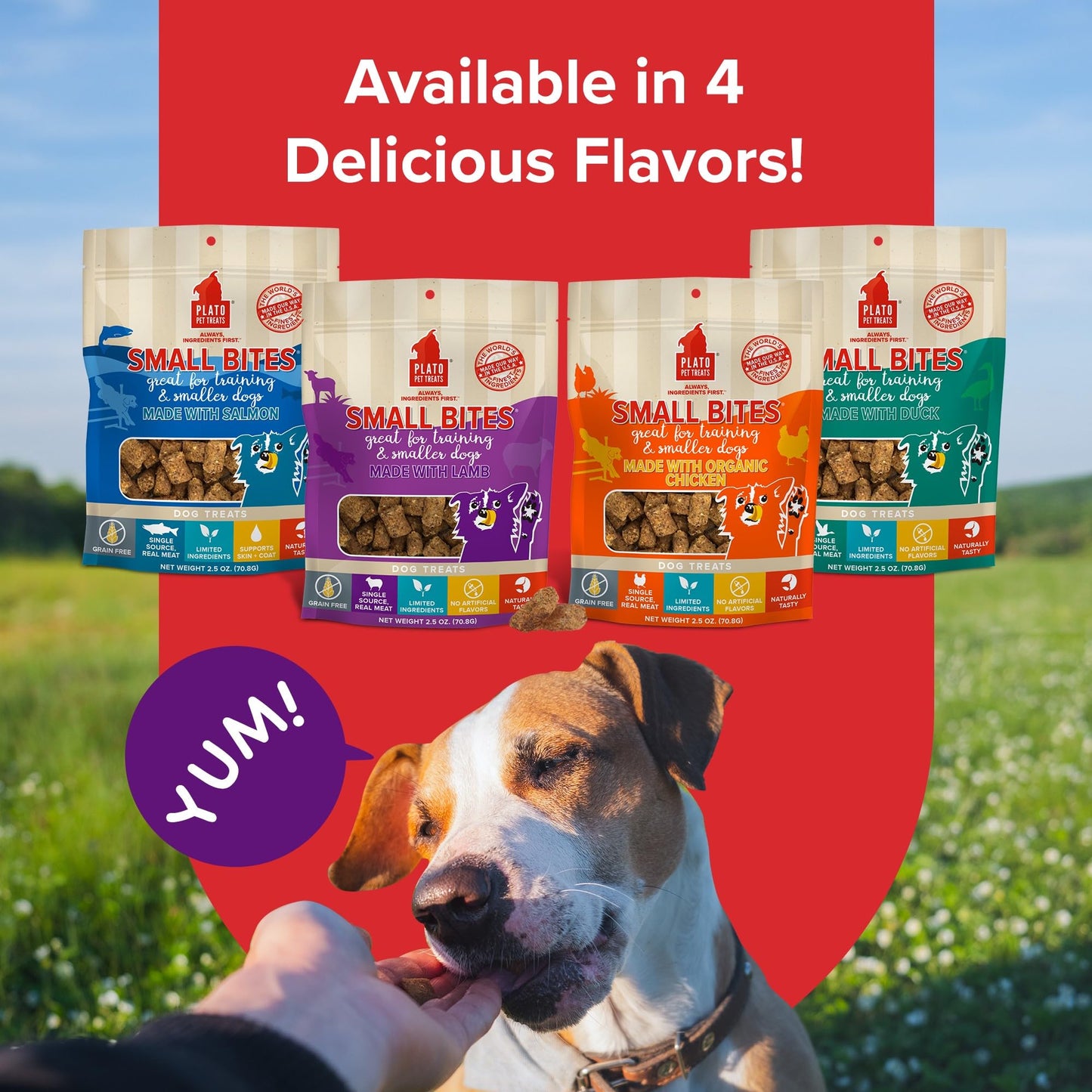 PLATO Pet Treats Small Bites - Air-Dried Training Treats for Dogs - Supports Healthy Digestion - Limited Ingredients - Lamb 6oz