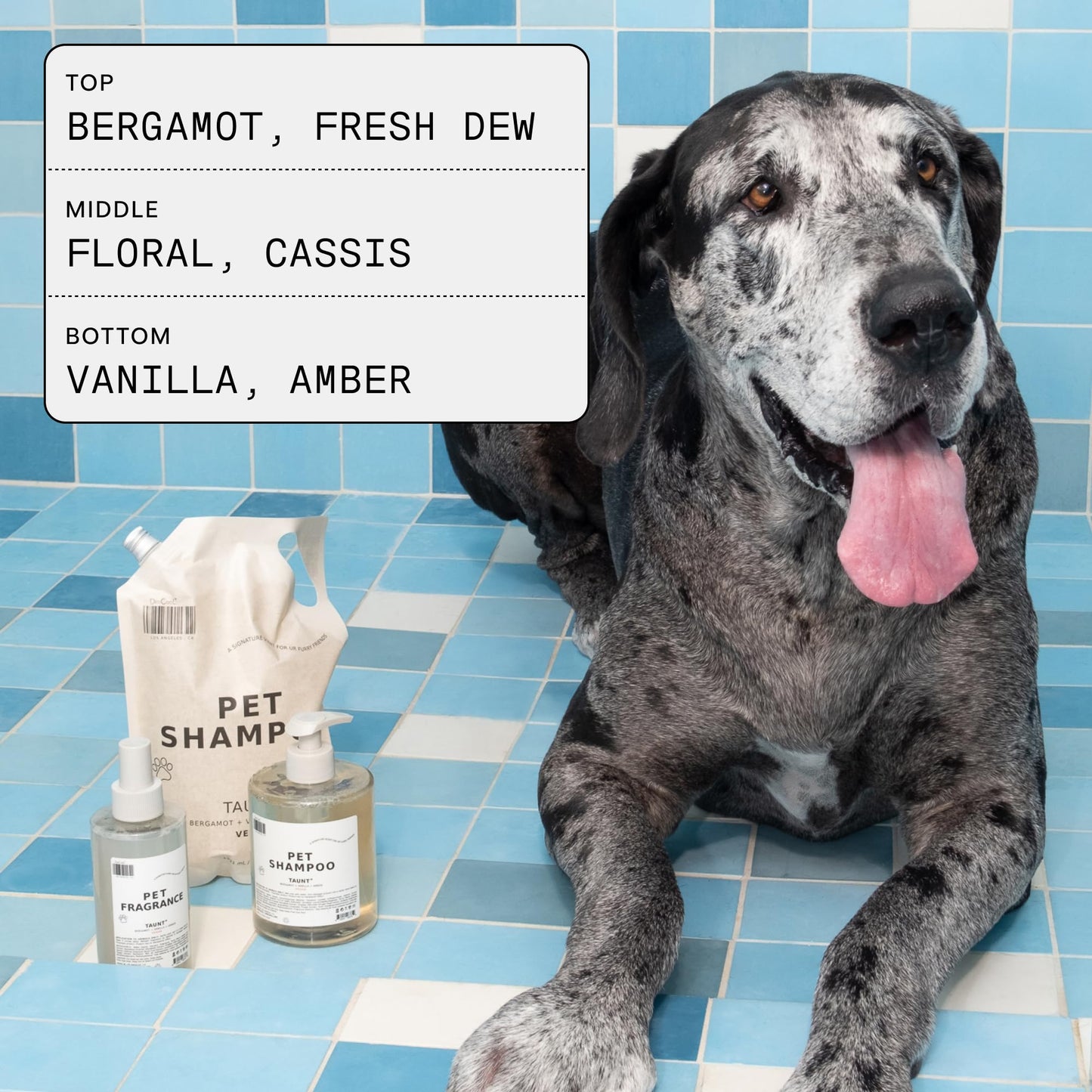DedCool Pet Shampoo | 01 Taunt Scent | Hypoallergenic, Tear-Free Dog & Cat Wash for Sensitive Skin, Dryness & Itch Relief | Vegan, Non-Toxic, Deodorizing Cleanser | 16.9oz
