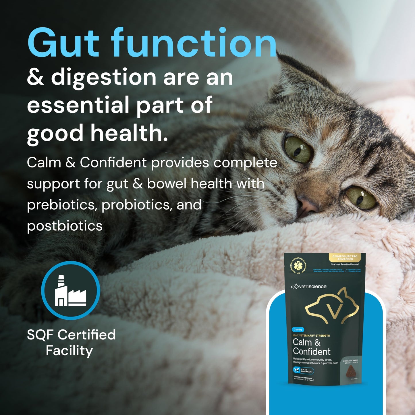VetriScience Veterinary Strength Calm & Confident Chews - Stress Supplement for Cats - Supports Brain Function for Cats - with L-Theanine, Thiamine & More - 45 Count