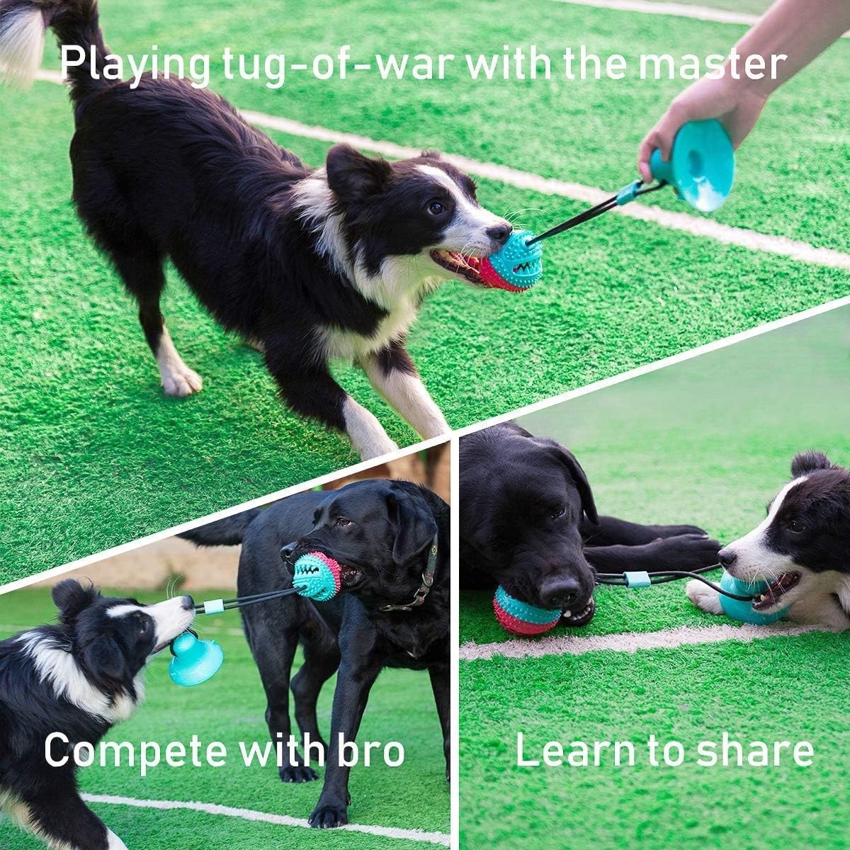 Interactive Dog Toys Tug of War, Mentally Stimulating Toys for Dogs, Puppy Teething Toys for Boredom to Keep Them Busy, Dog Puzzle Treat Food Dispensing Ball Toy for Small Medium Dog on Smooth Floor