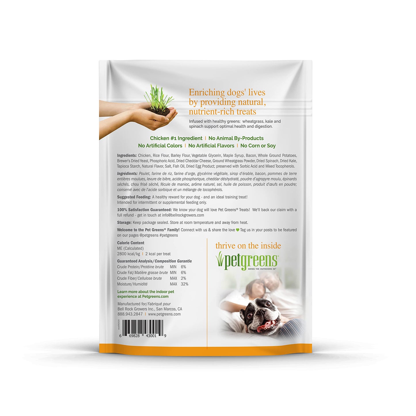 Pet Greens Natural Soft-Chew Dog Treats Infused with Supergreens - 3 Pack Bacon and Cheese 6 oz Each
